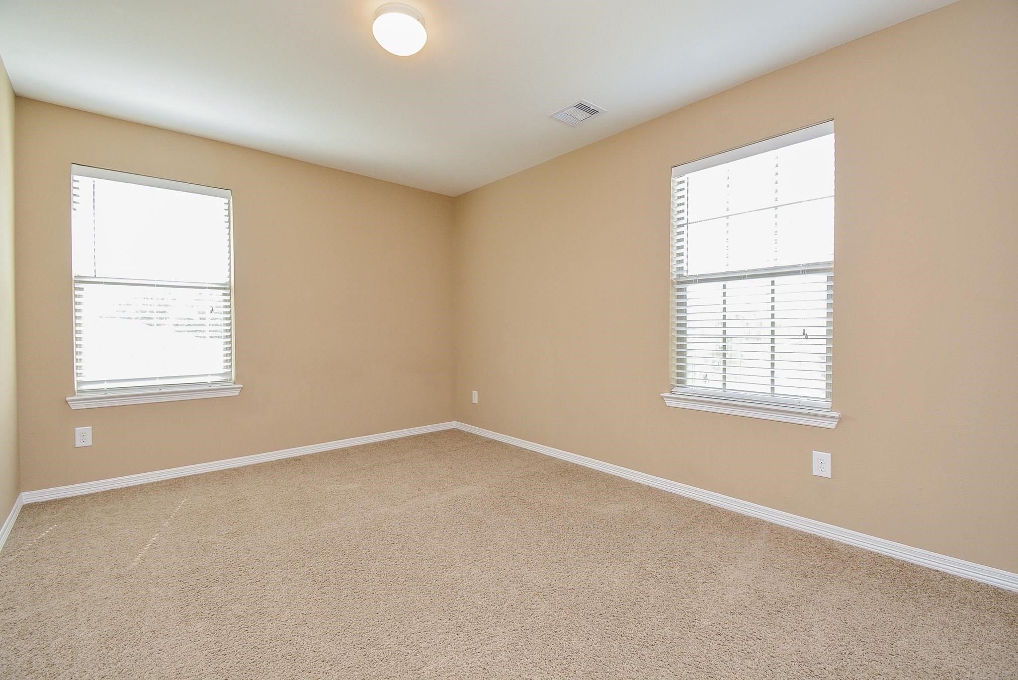 26406 Harmony Mill Court Property Photo 28