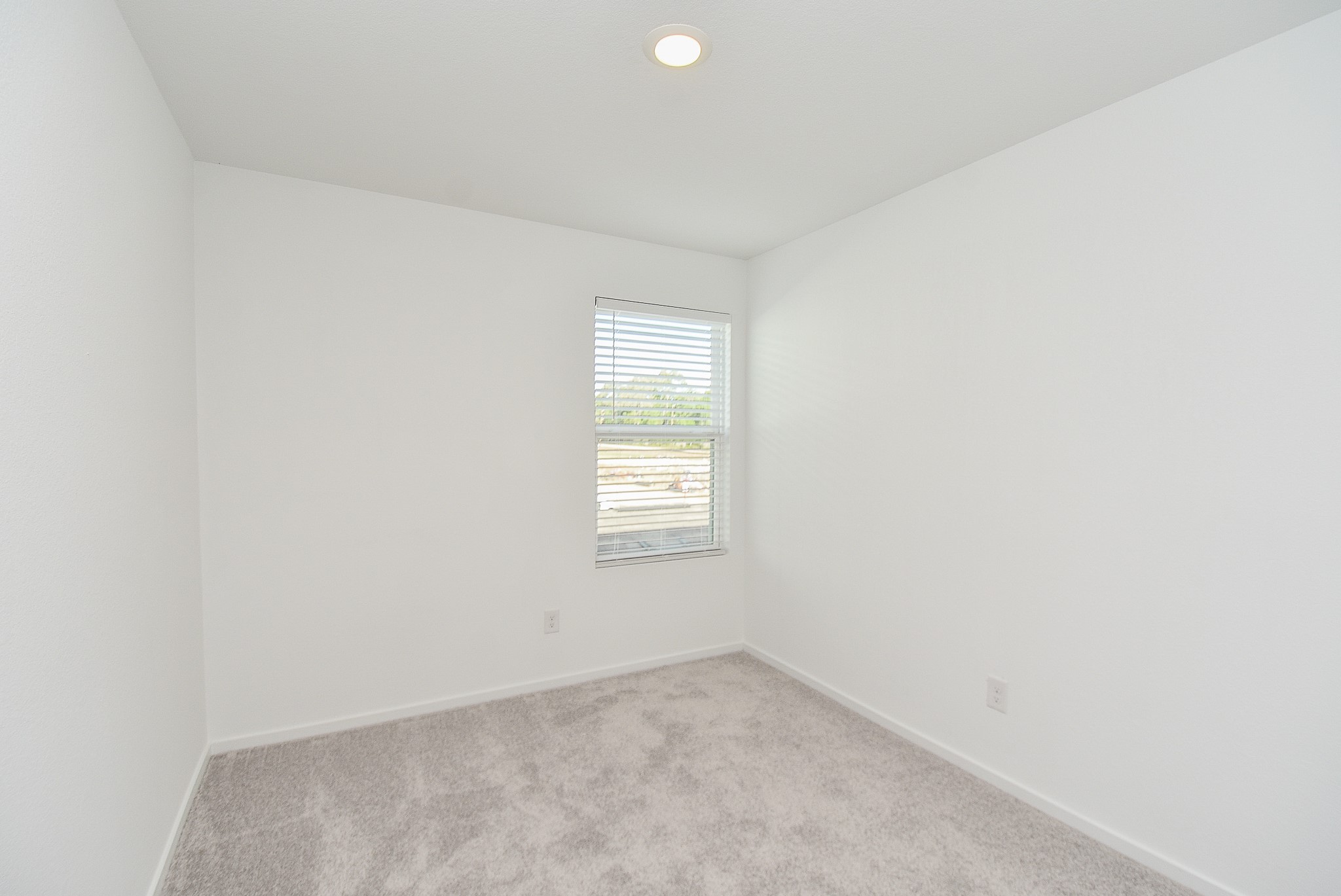 21430 Carosella Dr Property Photo 19
