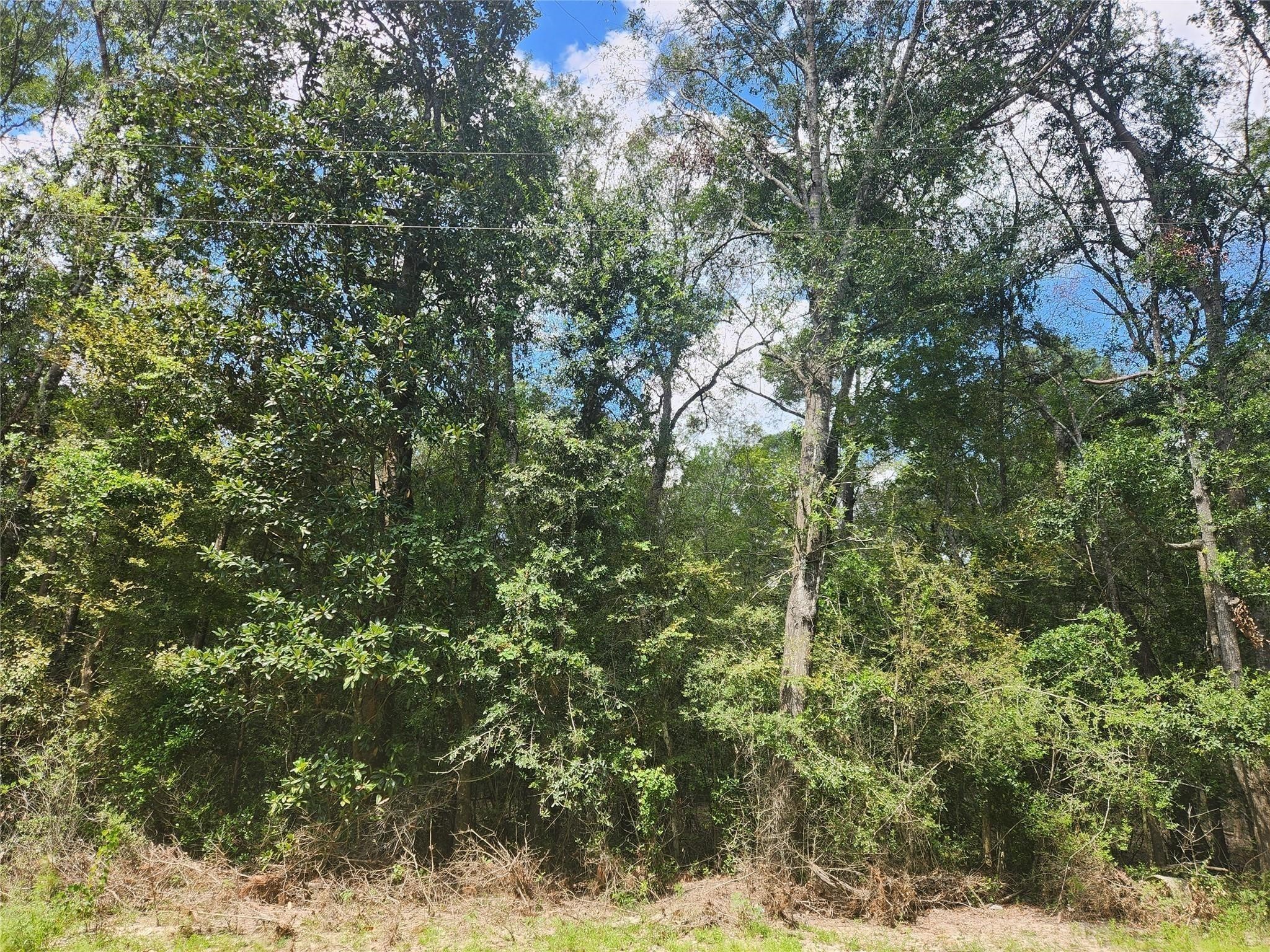 Tbd Idlewood Rdwy Property Photo 5