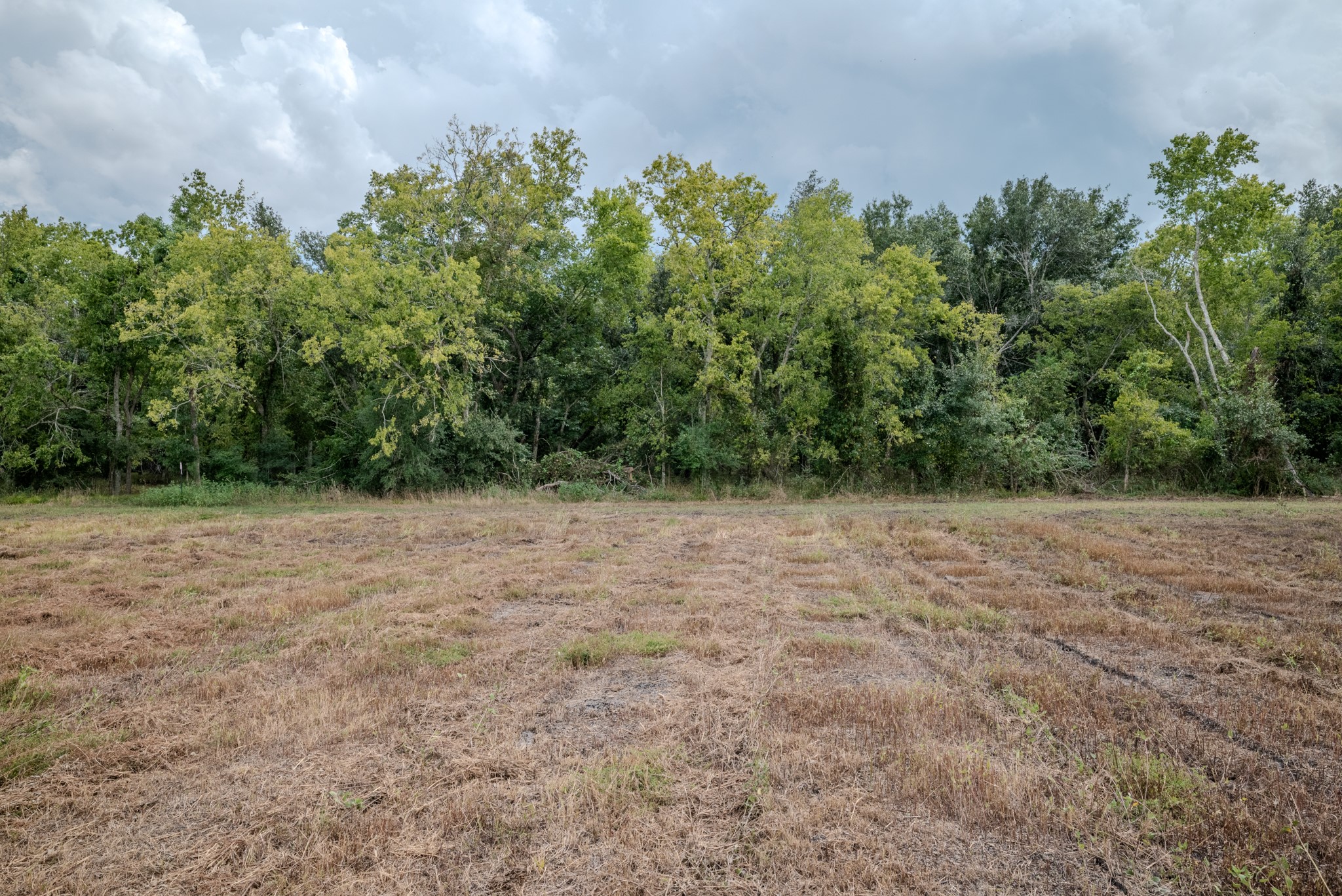 Tract 2 Charlie Meyer Road Property Photo 12