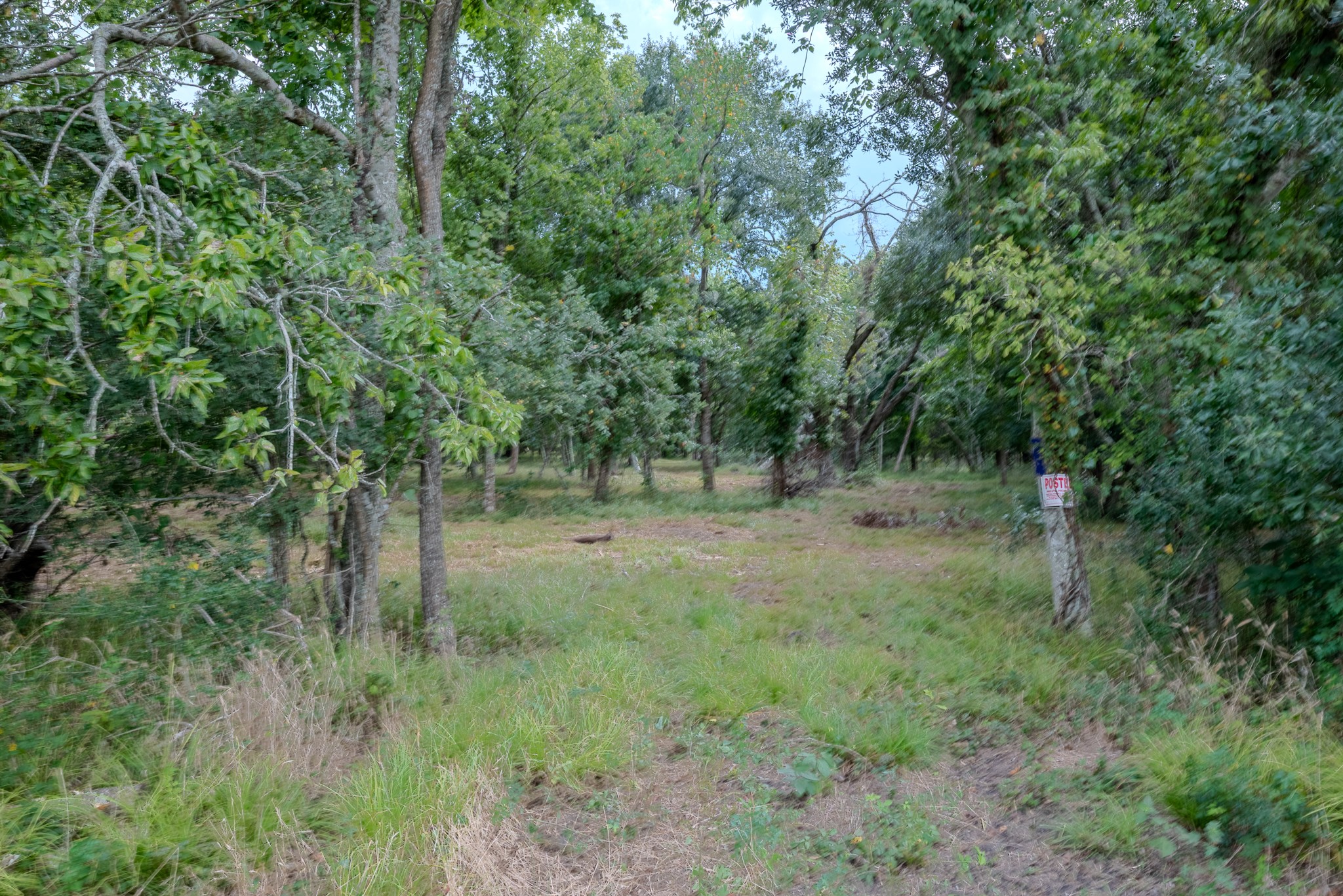 Tract 2 Charlie Meyer Road Property Photo 15
