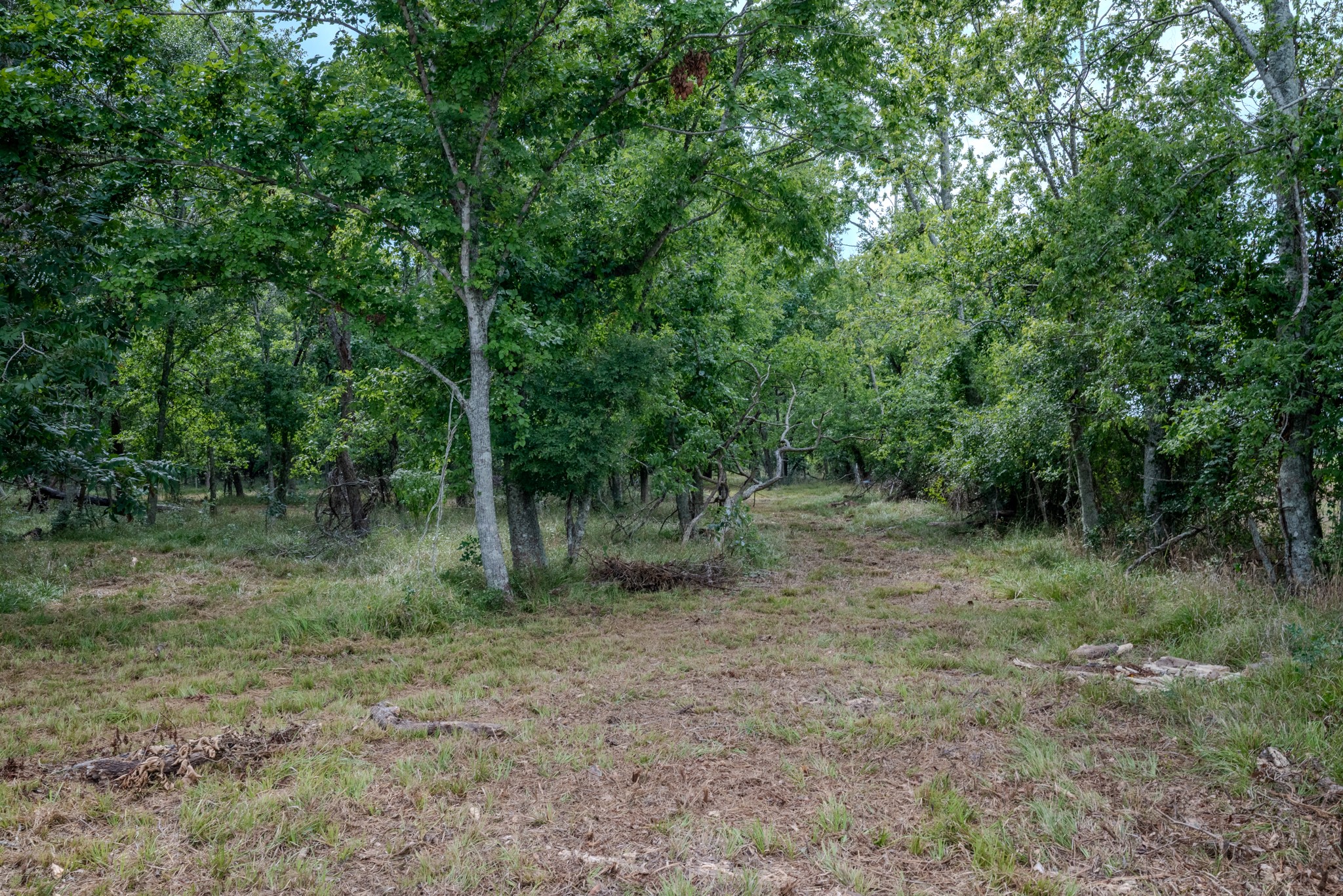 Tract 2 Charlie Meyer Road Property Photo 16