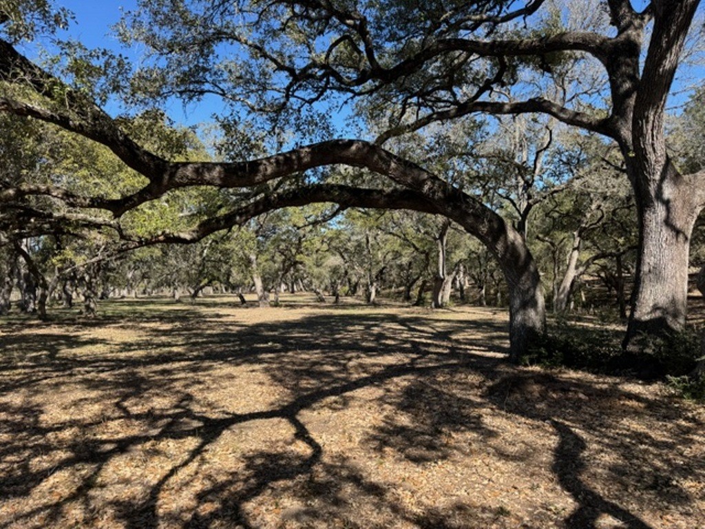 Tbd Wolters And Kainer Road Property Photo 2