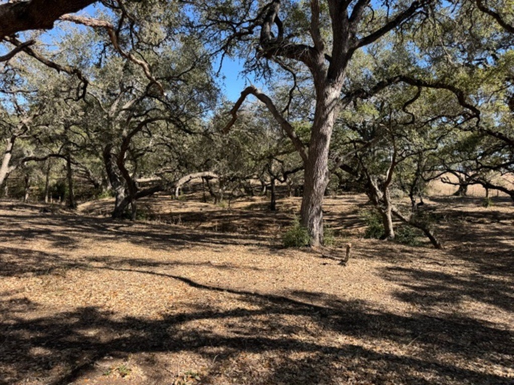 Tbd Wolters And Kainer Road Property Photo 3