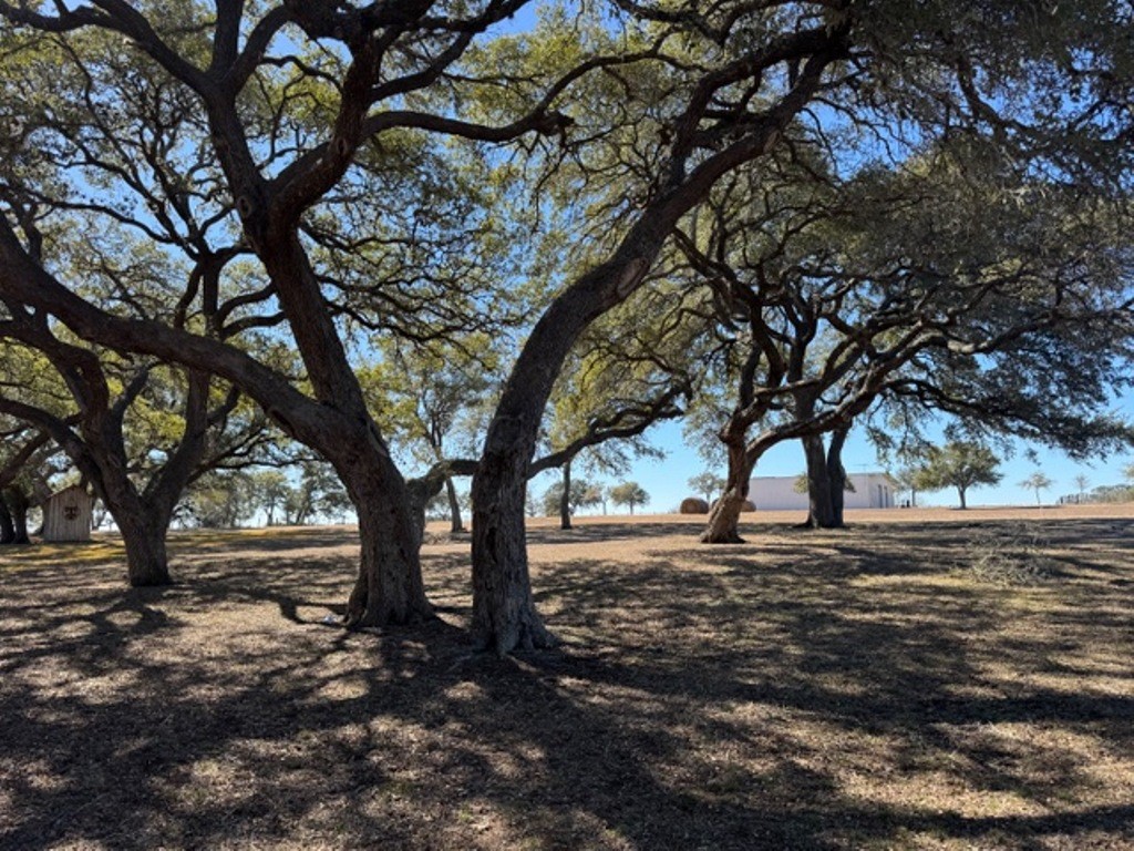 Tbd Wolters And Kainer Road Property Photo 4