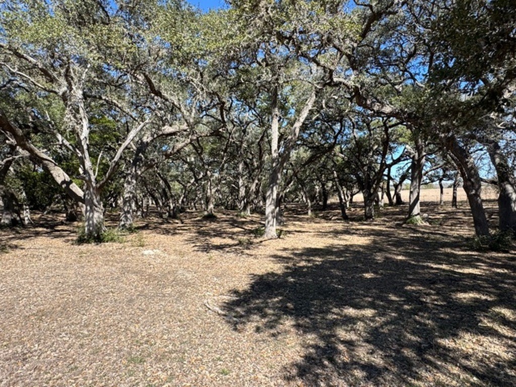 Tbd Wolters And Kainer Road Property Photo 5