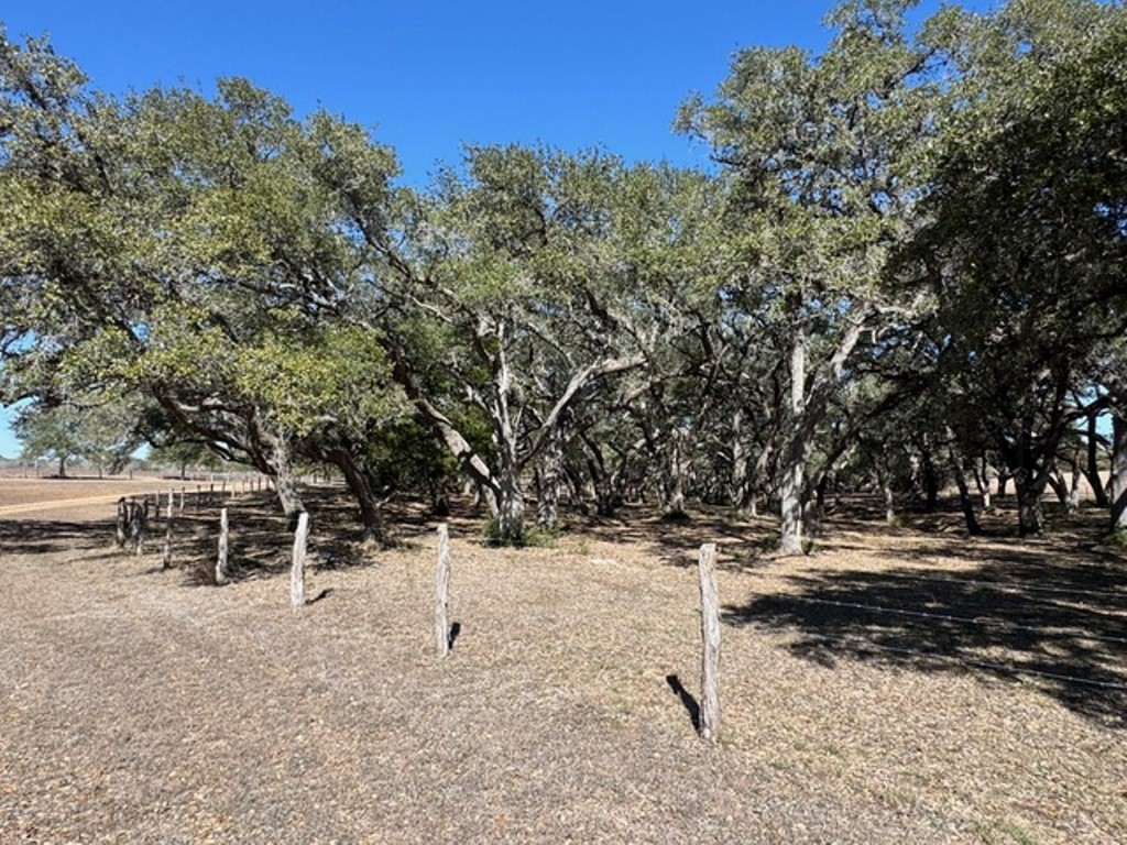 Tbd Wolters And Kainer Road Property Photo 6