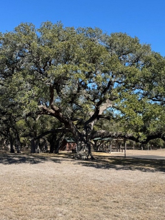Tbd Wolters And Kainer Road Property Photo 10
