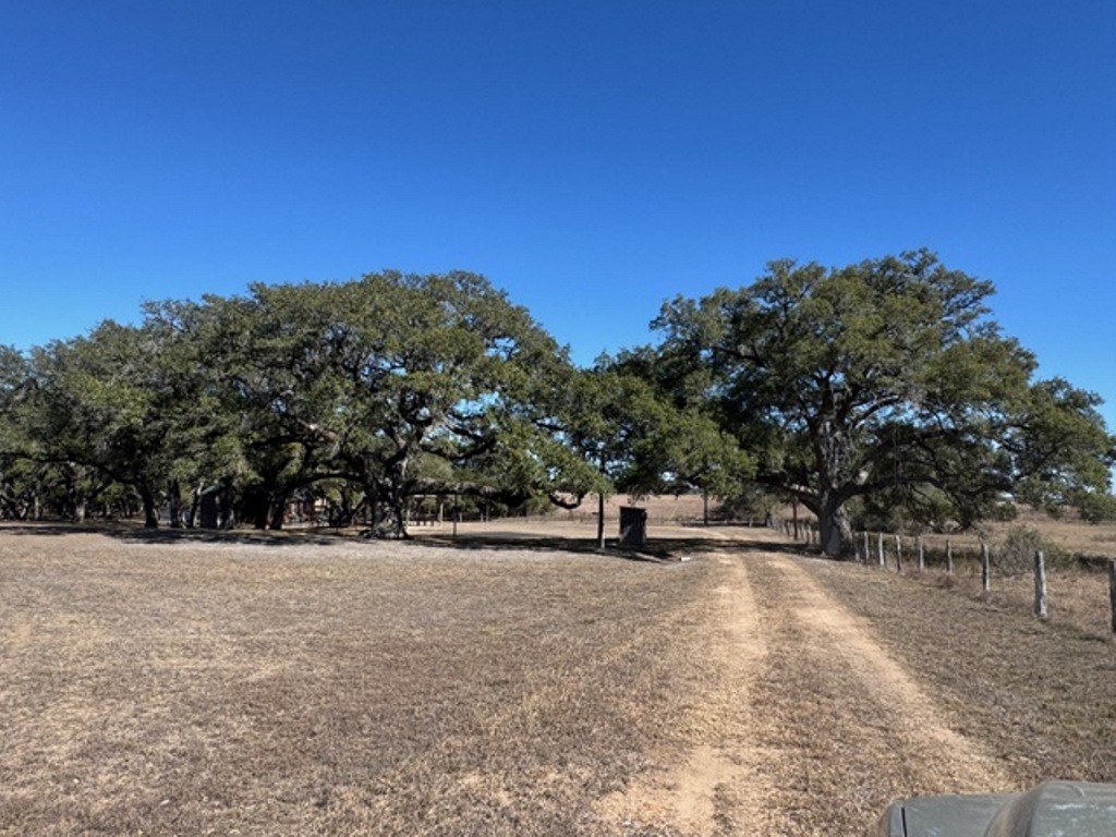 Tbd Wolters And Kainer Road Property Photo 11