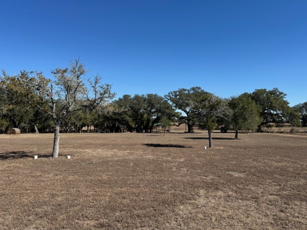 Tbd Wolters And Kainer Road Property Photo 12