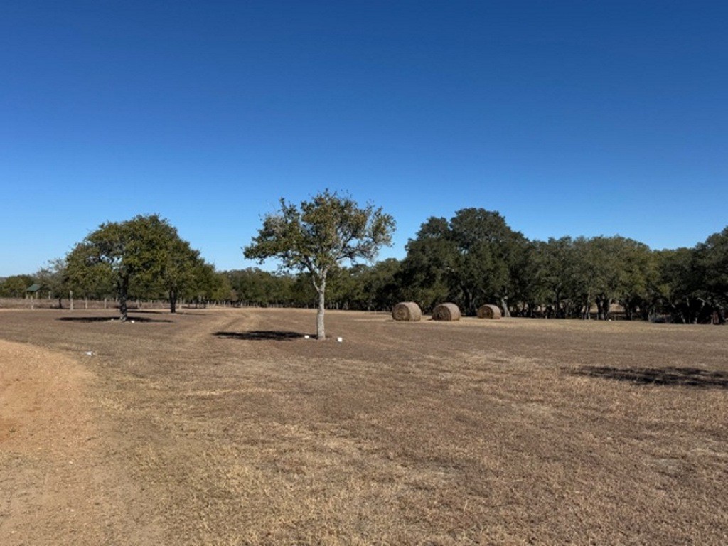 Tbd Wolters And Kainer Road Property Photo 13