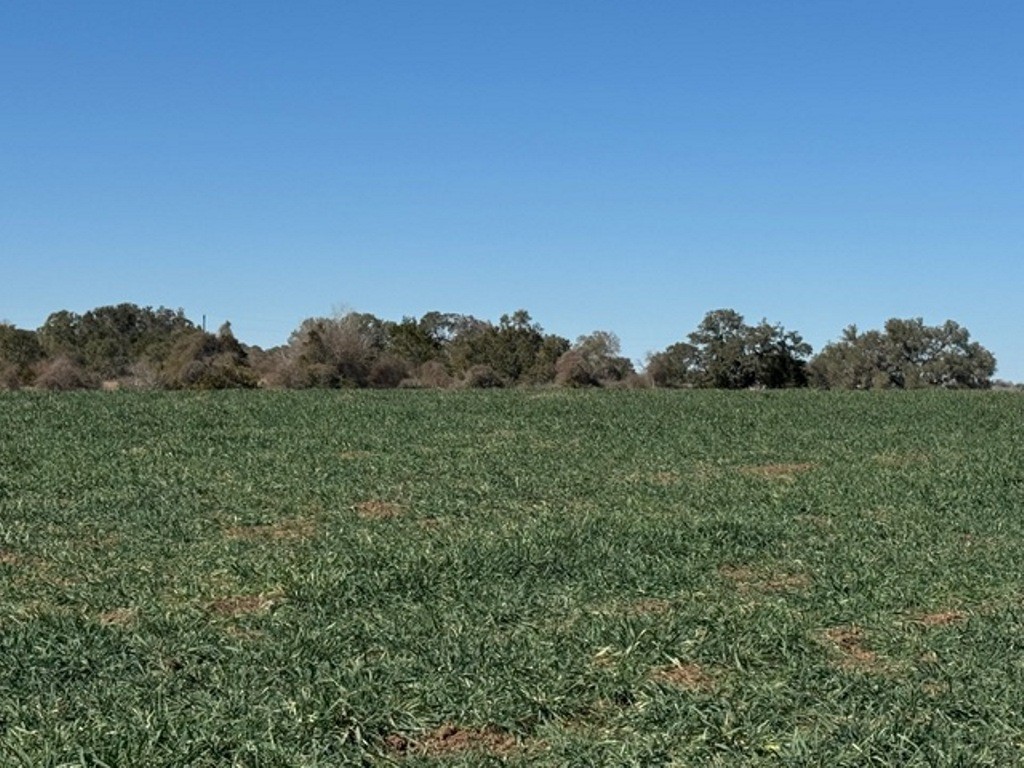 Tbd Wolters And Kainer Road Property Photo 16