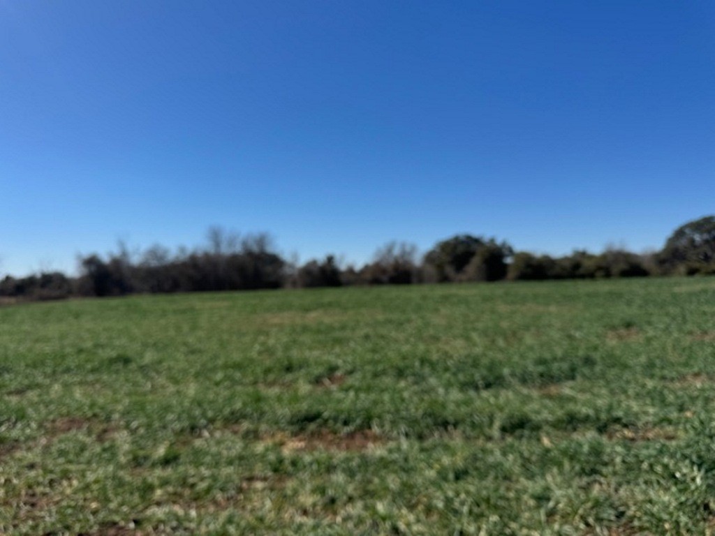 Tbd Wolters And Kainer Road Property Photo 18