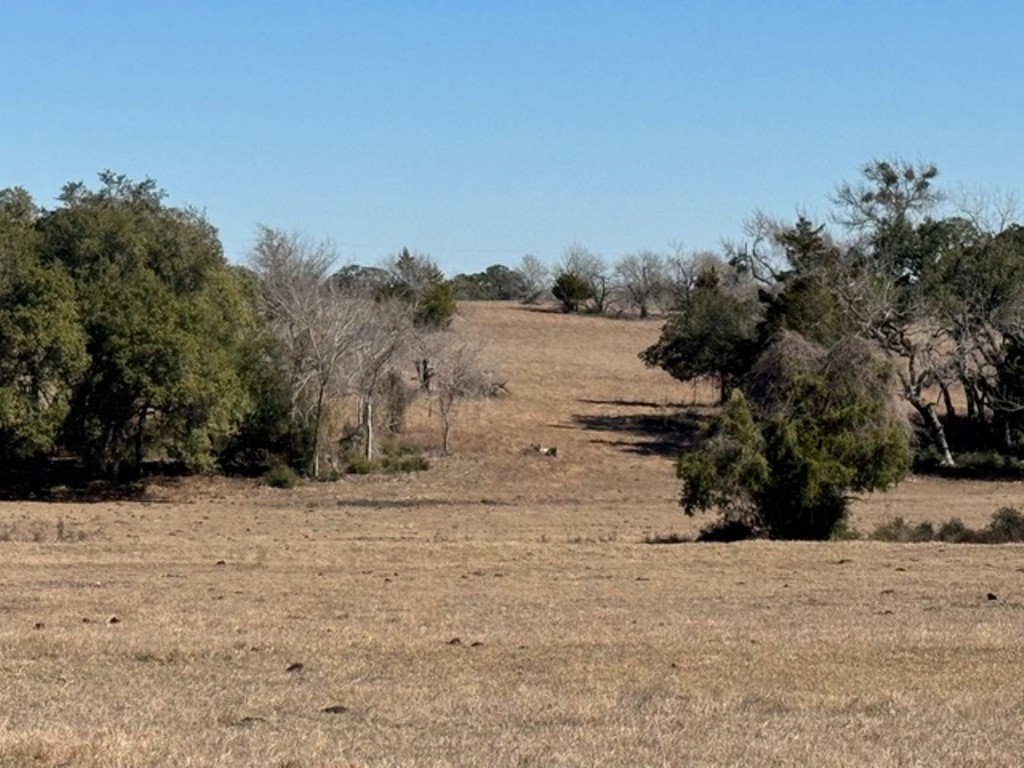 Tbd Wolters And Kainer Road Property Photo 19