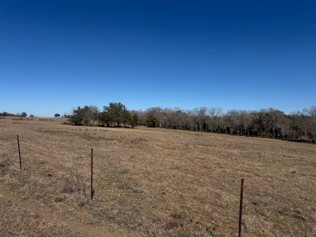 Tbd Wolters And Kainer Road Property Photo 20