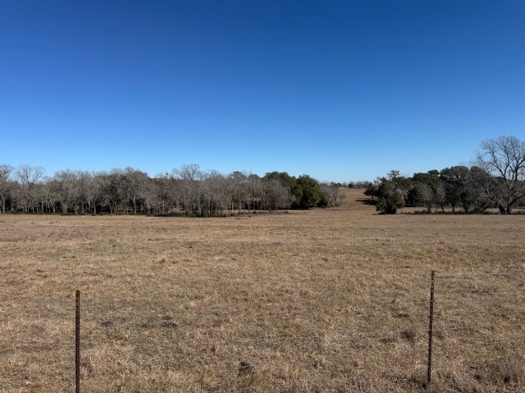 Tbd Wolters And Kainer Road Property Photo 21