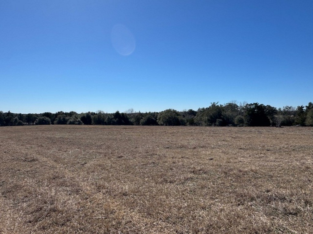Tbd Wolters And Kainer Road Property Photo 22
