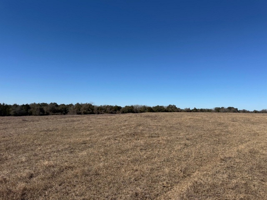 Tbd Wolters And Kainer Road Property Photo 23