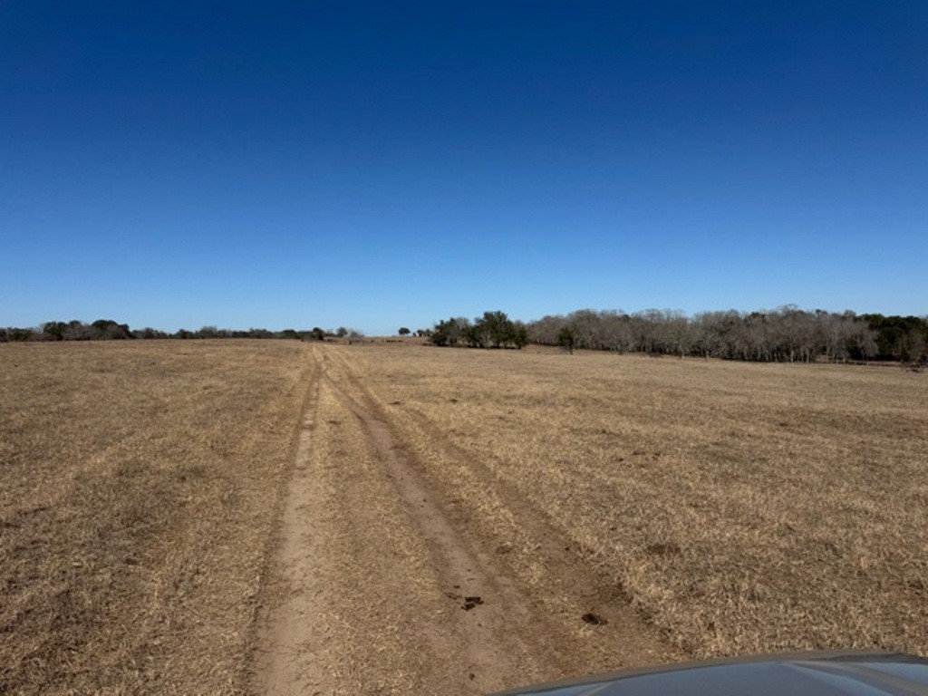 Tbd Wolters And Kainer Road Property Photo 25