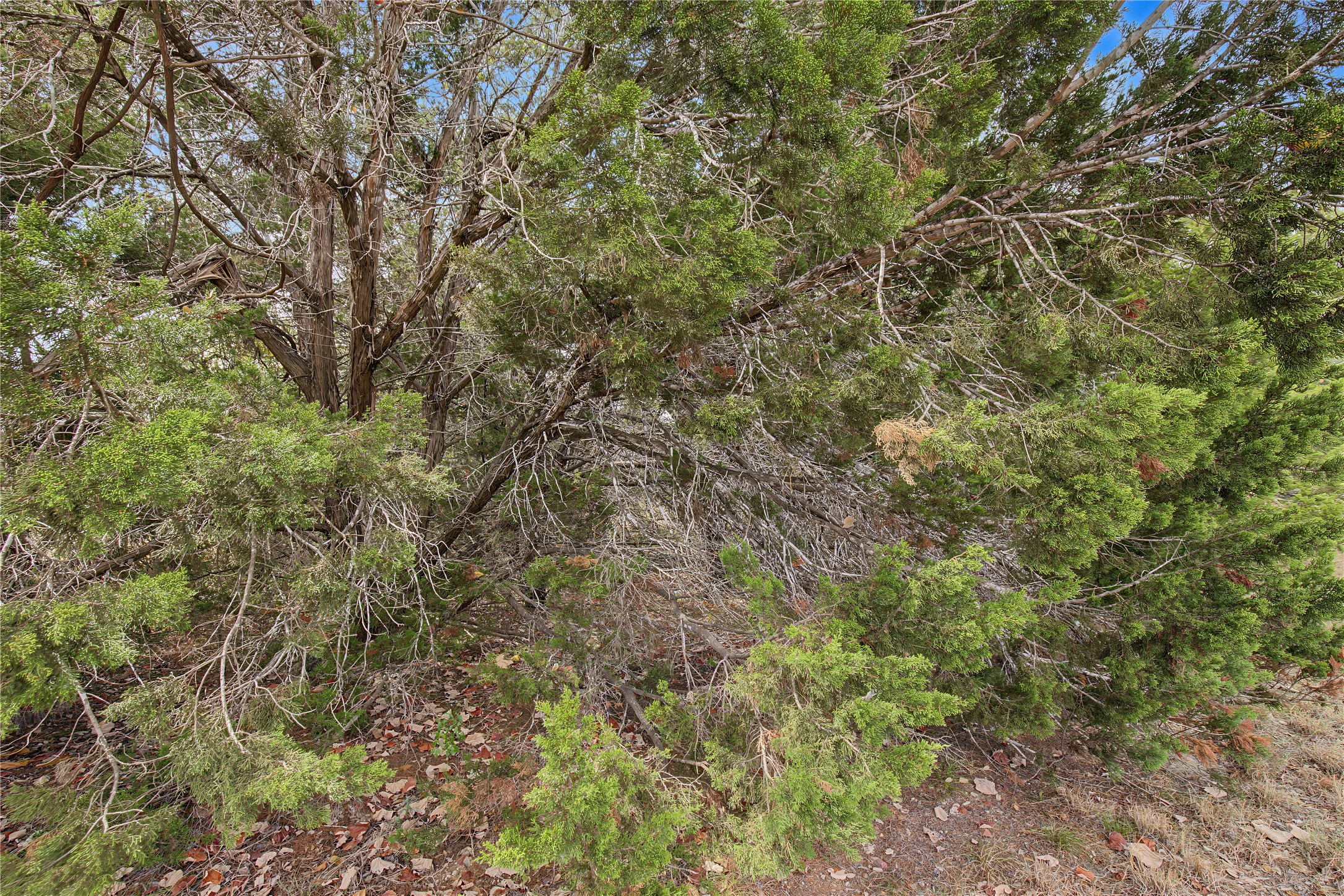 170 Brownson Lane Property Photo 14