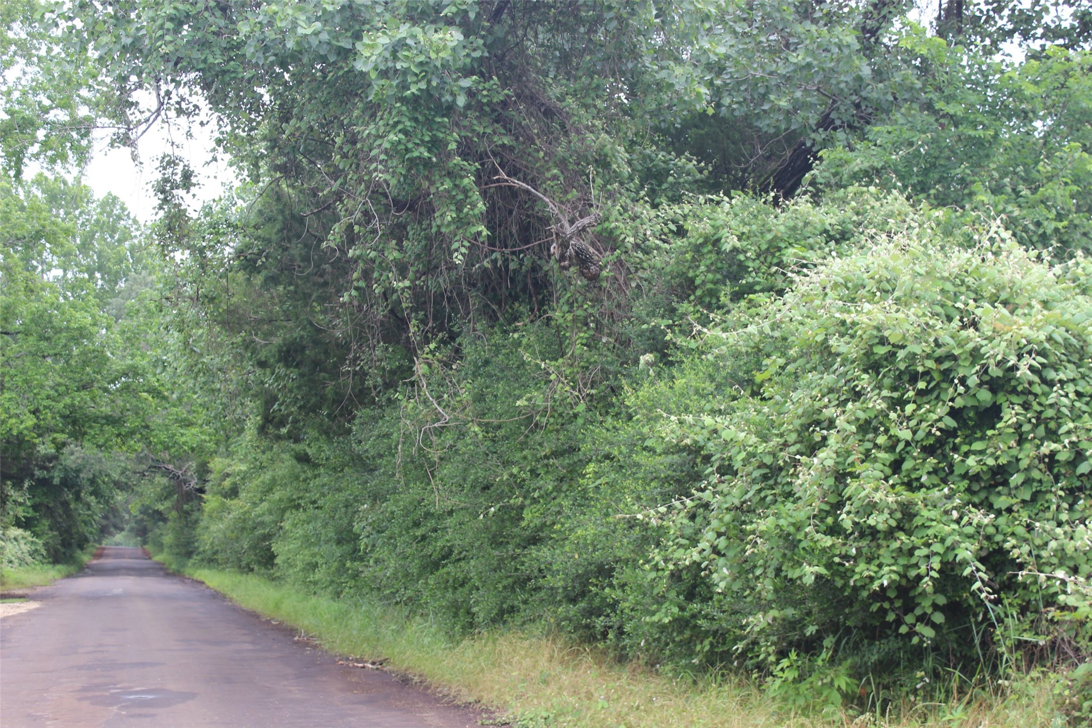 298 Private Road 1350 Property Photo 3