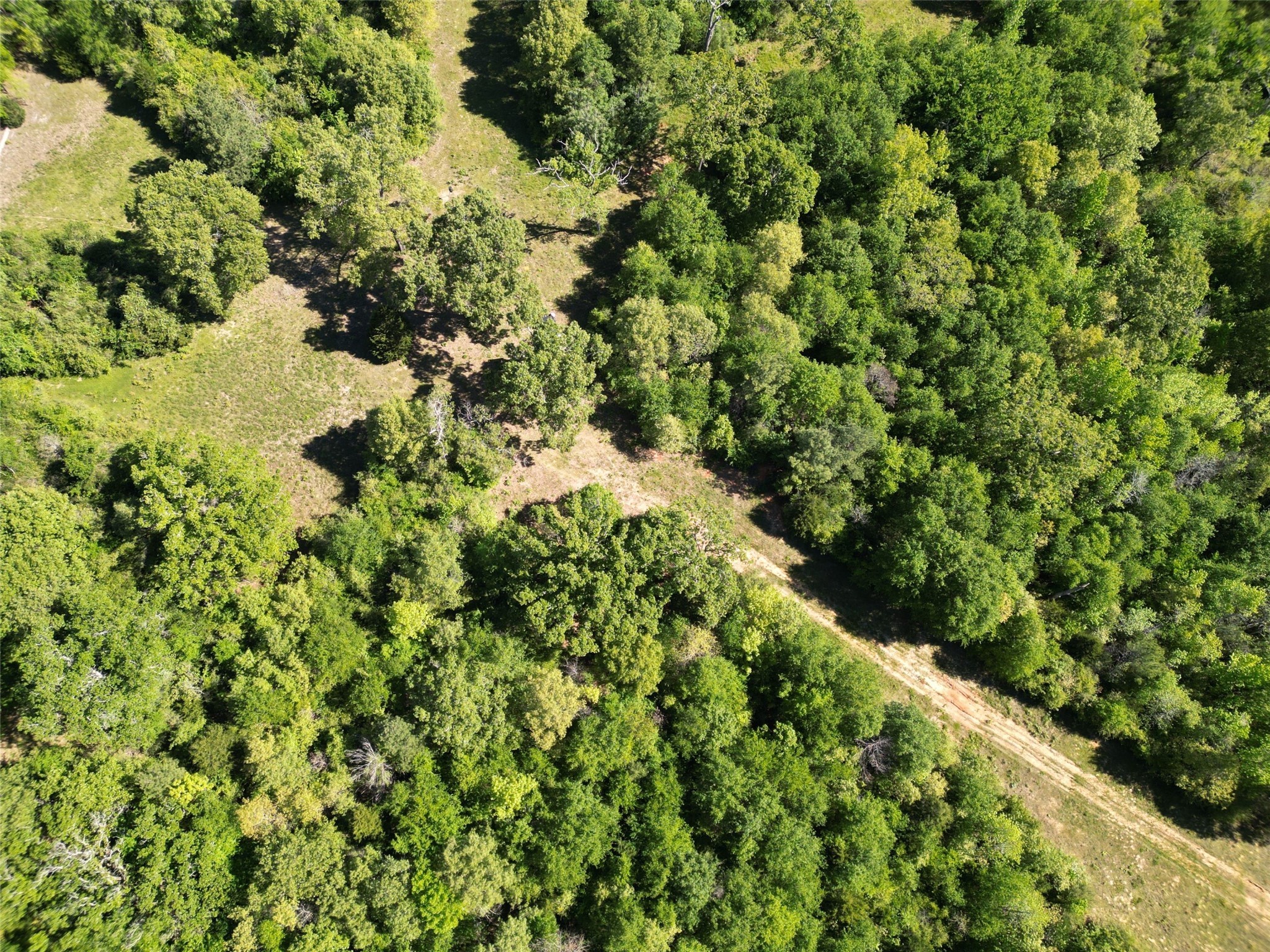 298 Private Road 1350 Property Photo 4