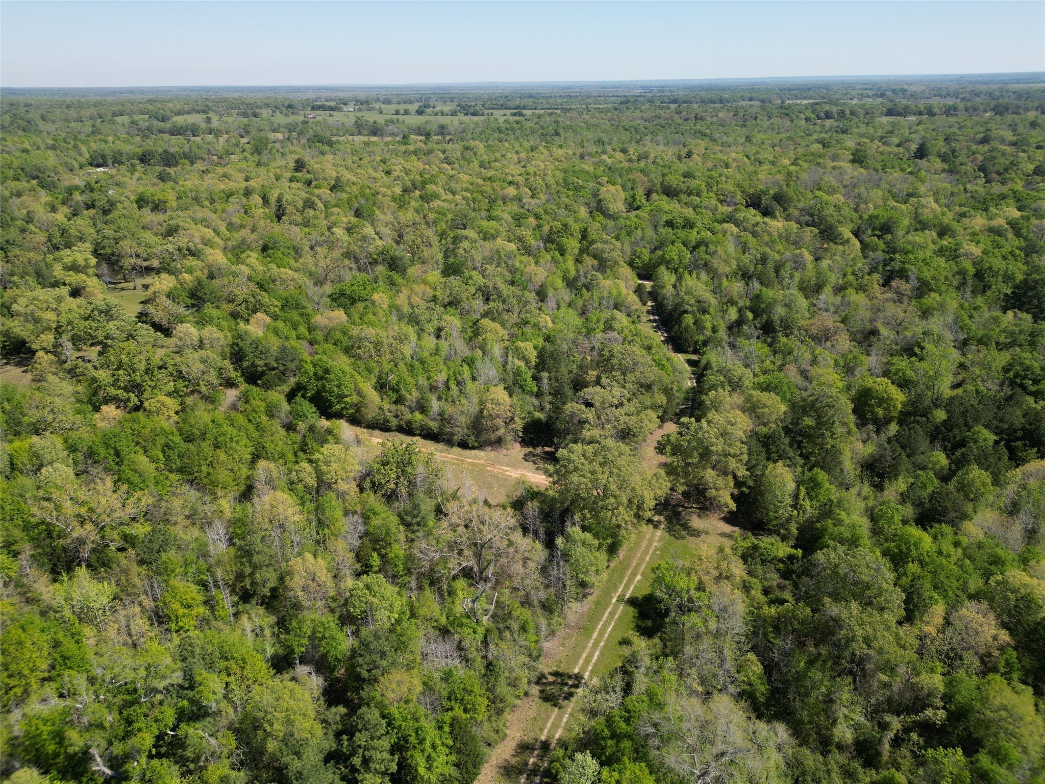 298 Private Road 1350 Property Photo 5
