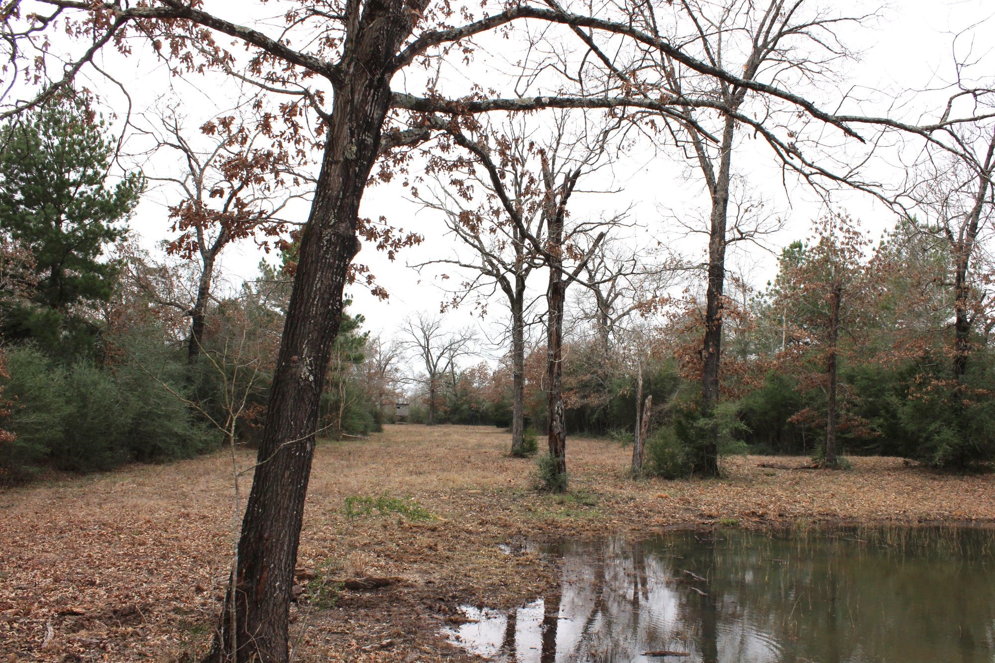 298 Private Road 1350 Property Photo 7