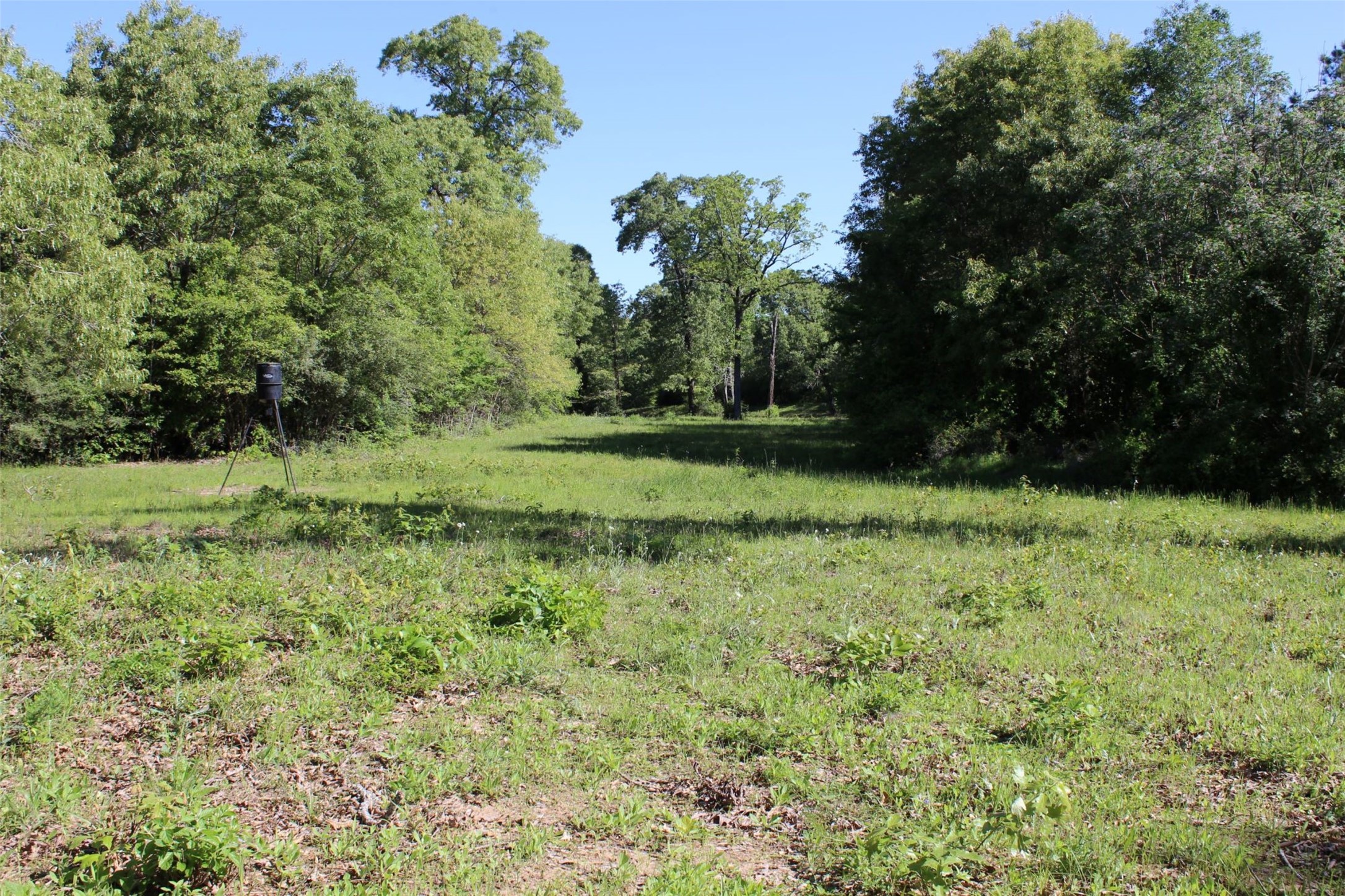 298 Private Road 1350 Property Photo 10