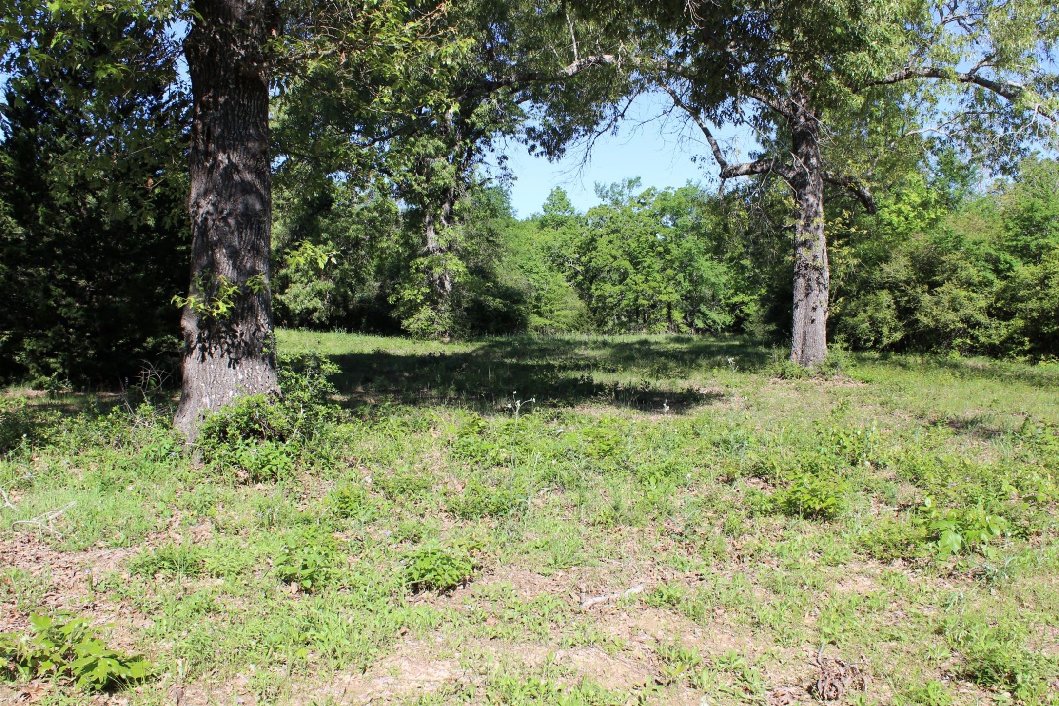 298 Private Road 1350 Property Photo 11