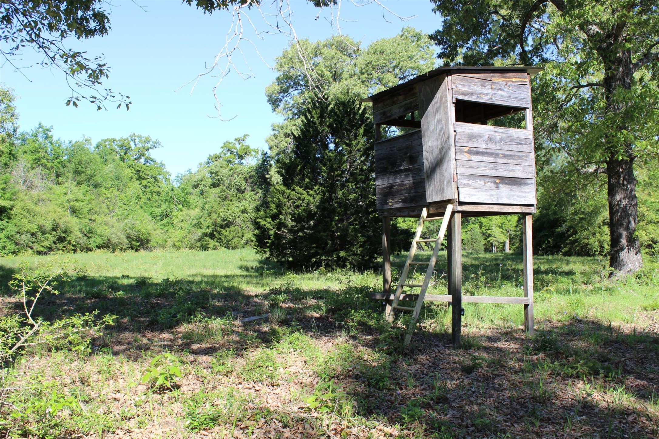 298 Private Road 1350 Property Photo 12