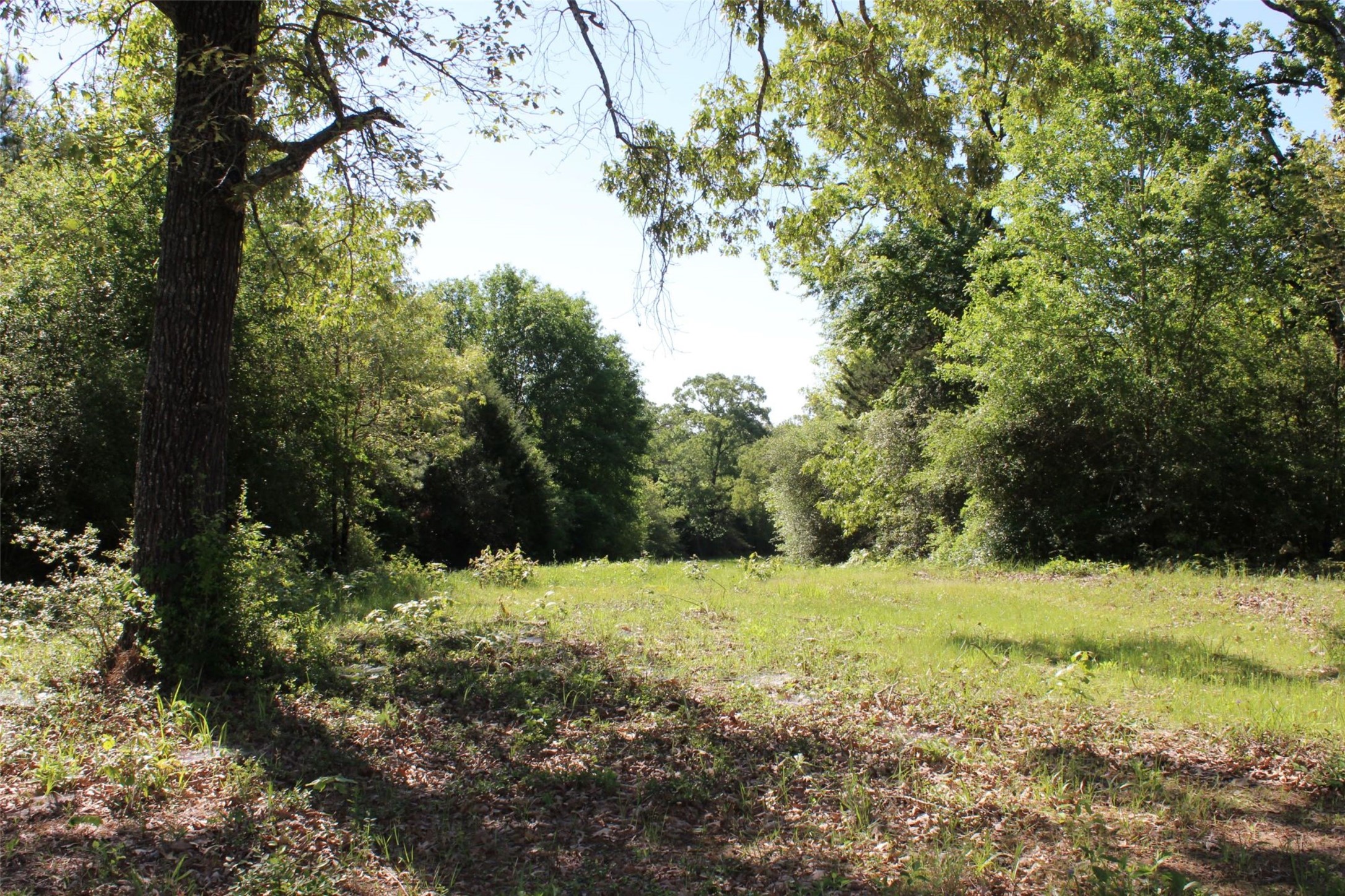 298 Private Road 1350 Property Photo 13