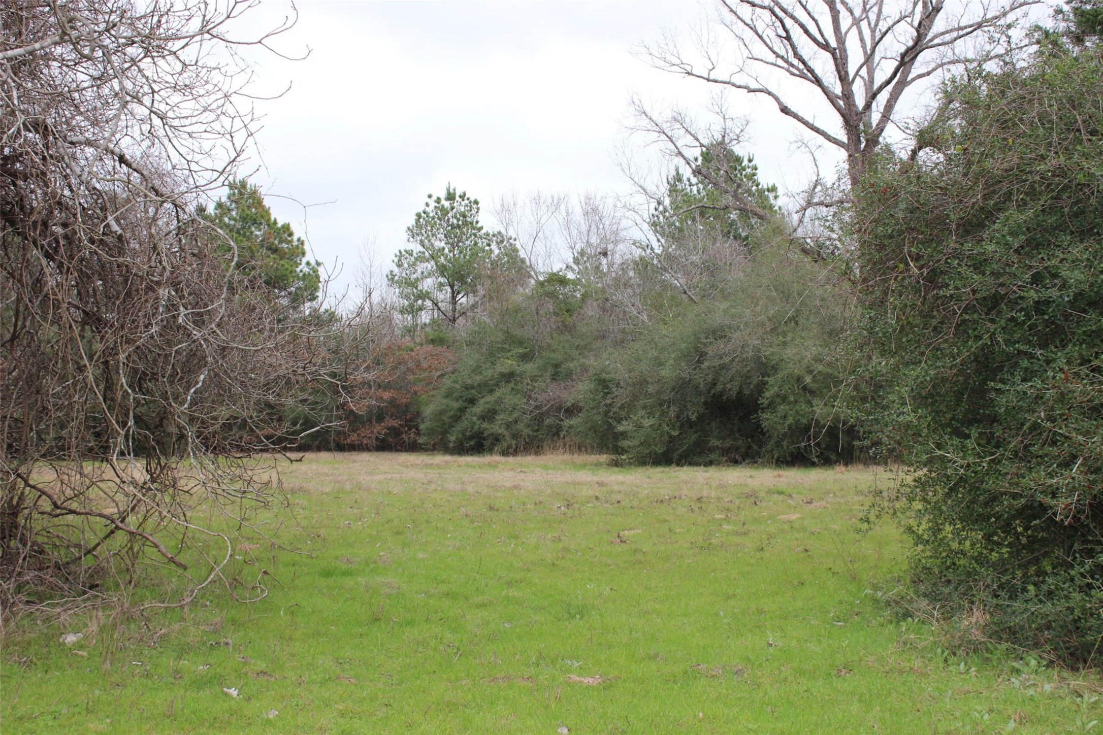 298 Private Road 1350 Property Photo 14