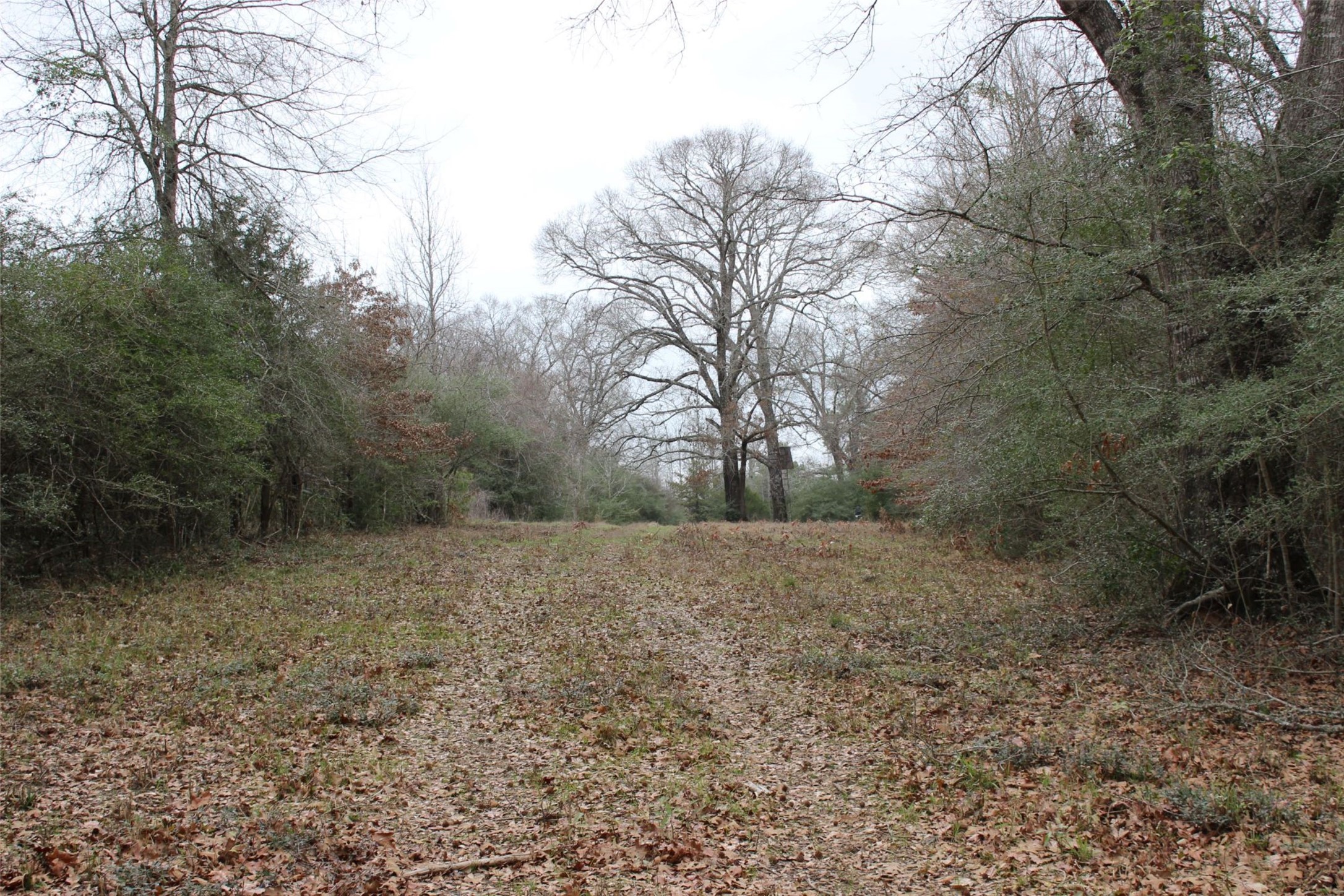 298 Private Road 1350 Property Photo 15