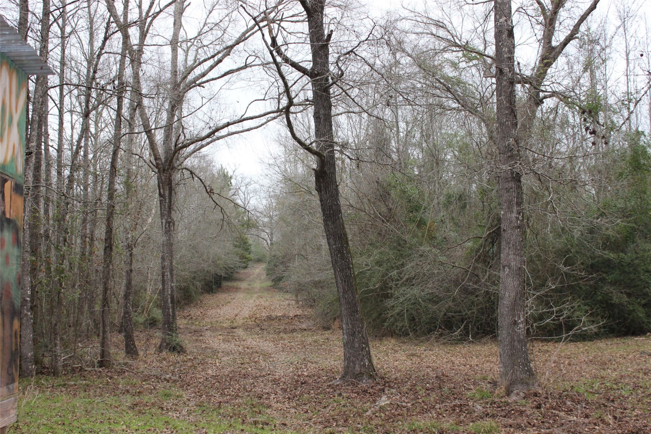 298 Private Road 1350 Property Photo 16