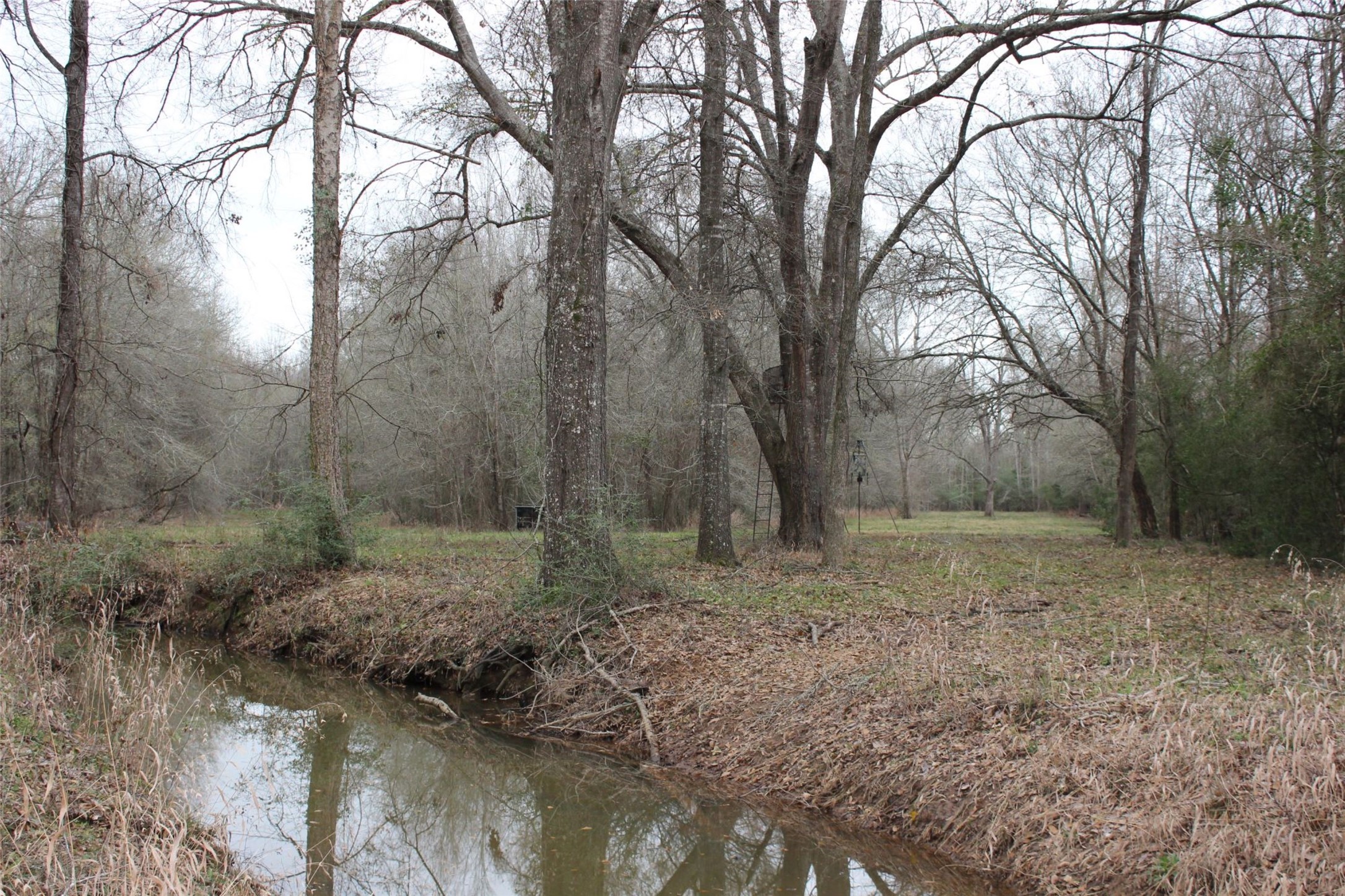 298 Private Road 1350 Property Photo 17