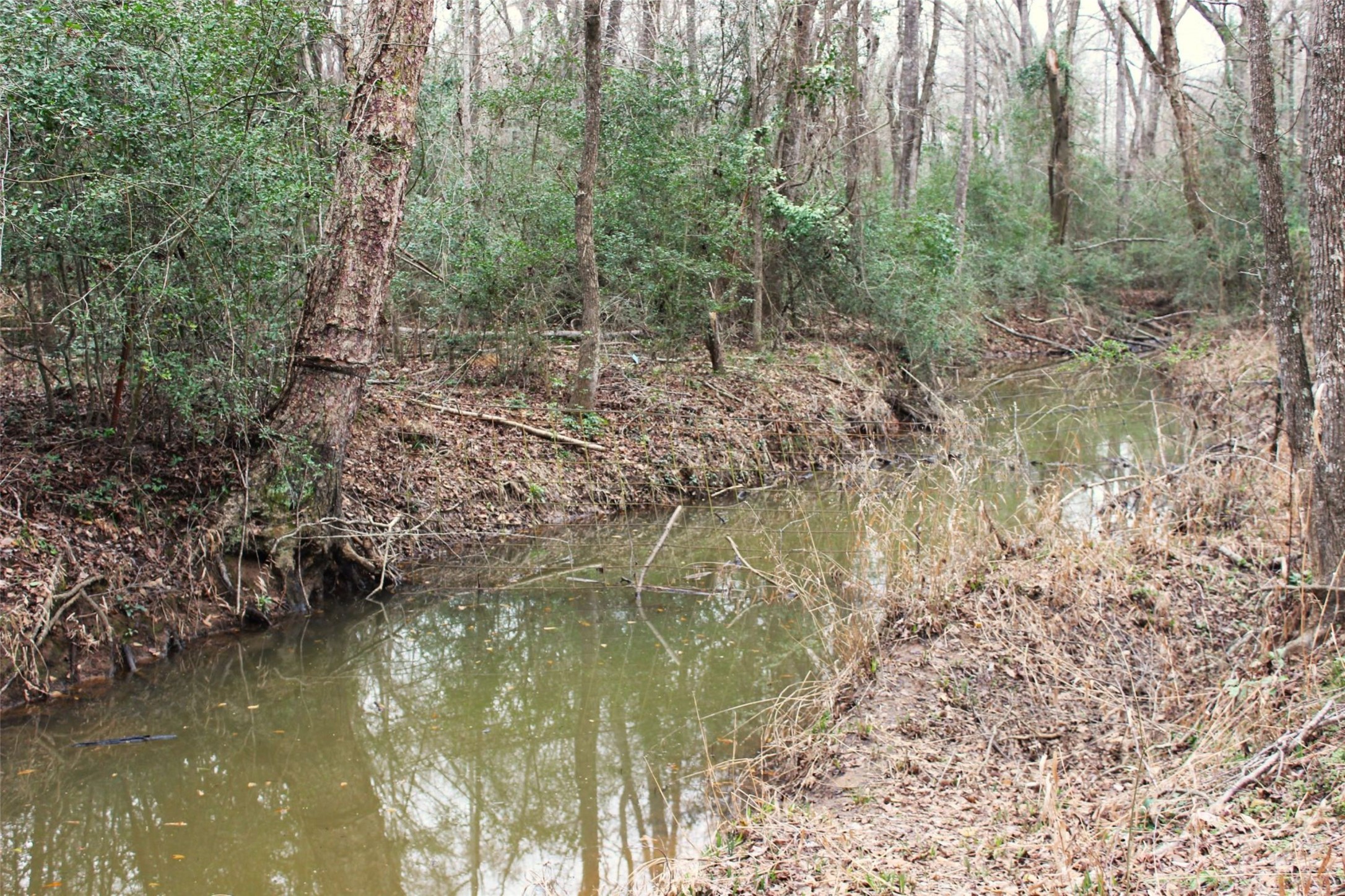 298 Private Road 1350 Property Photo 18