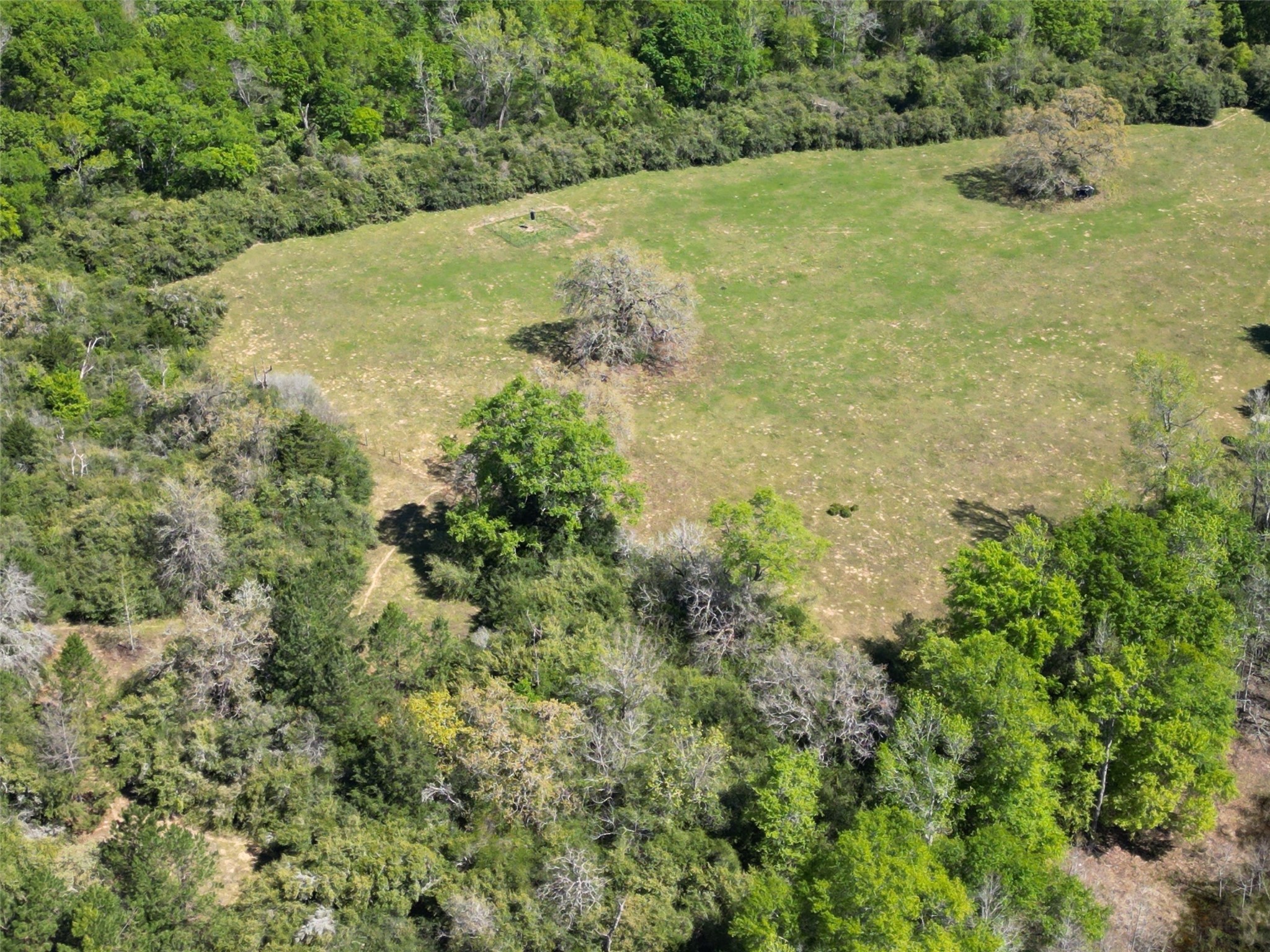 298 Private Road 1350 Property Photo 19