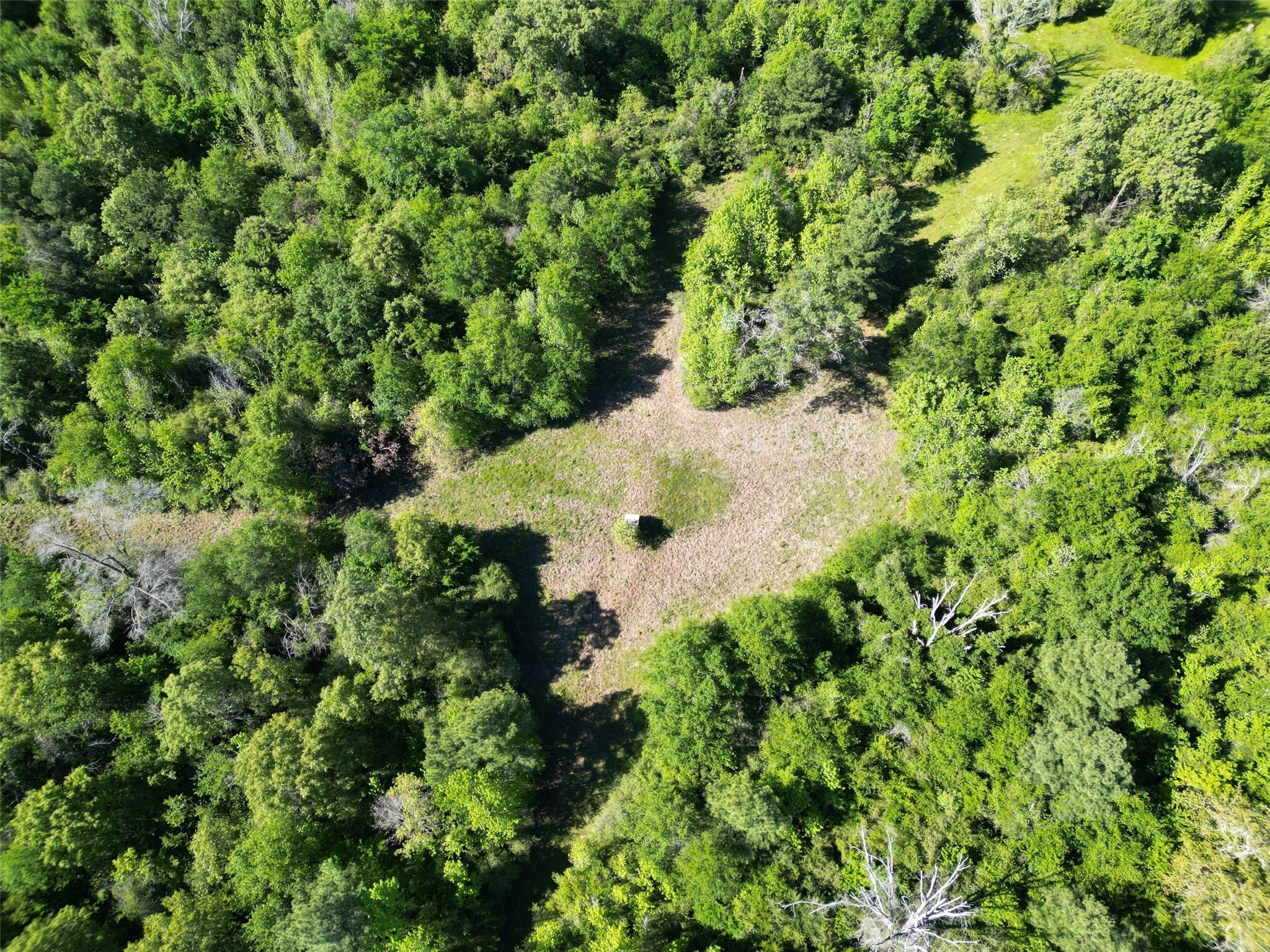 298 Private Road 1350 Property Photo 20