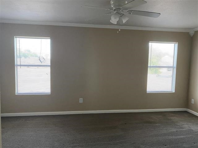 1135 Park Meadow Dr Property Photo 8
