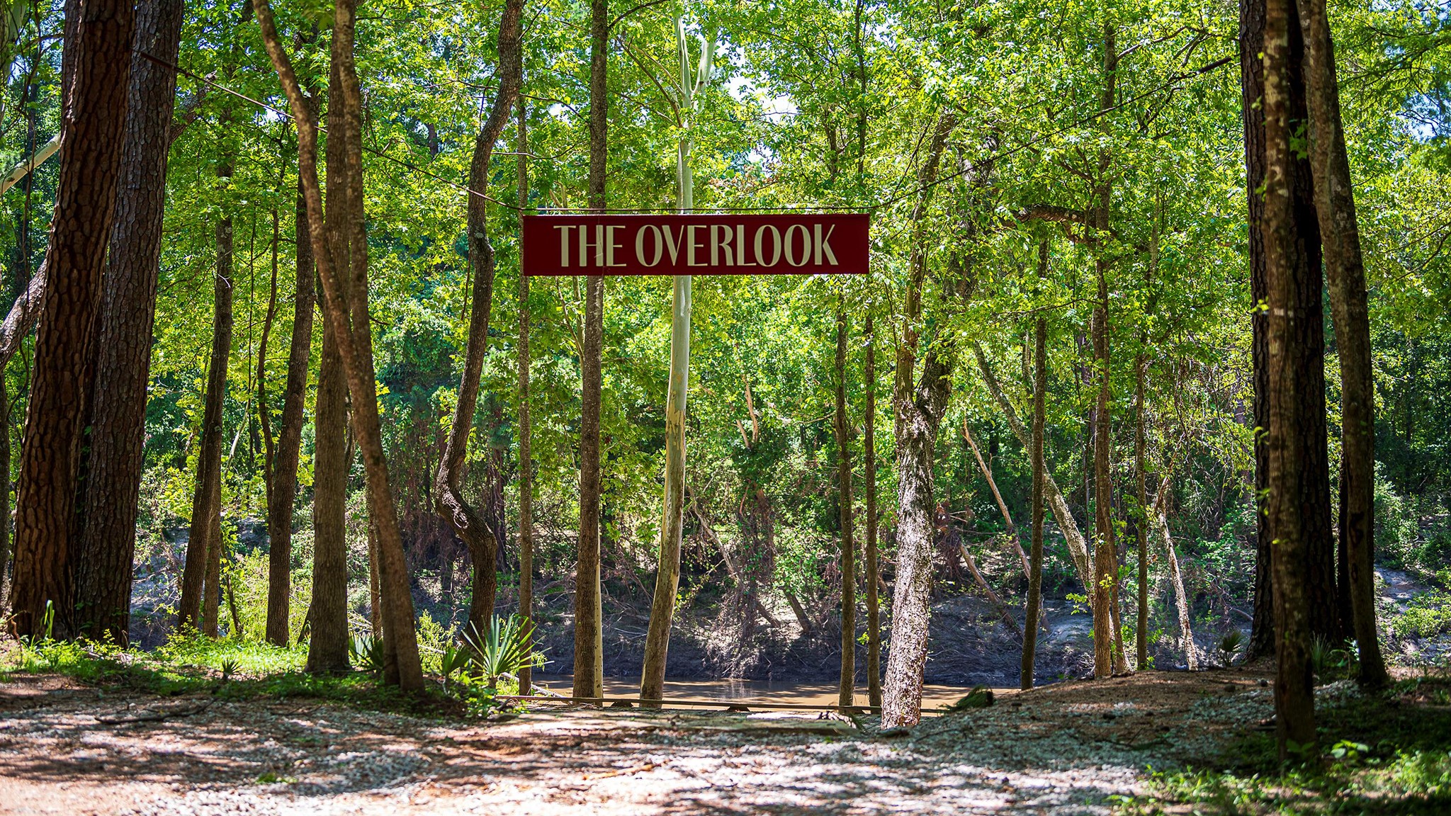 9507 Sierra Crest Lane Property Photo 8