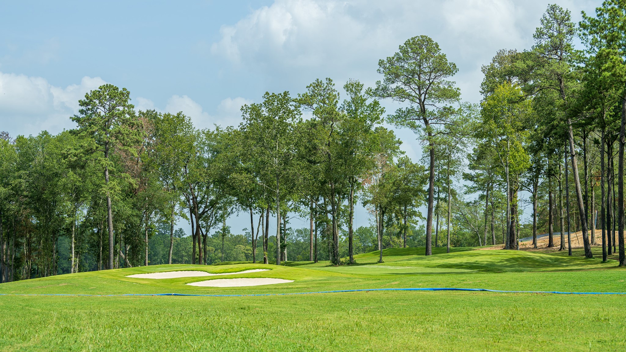 9507 Sierra Crest Lane Property Photo 11