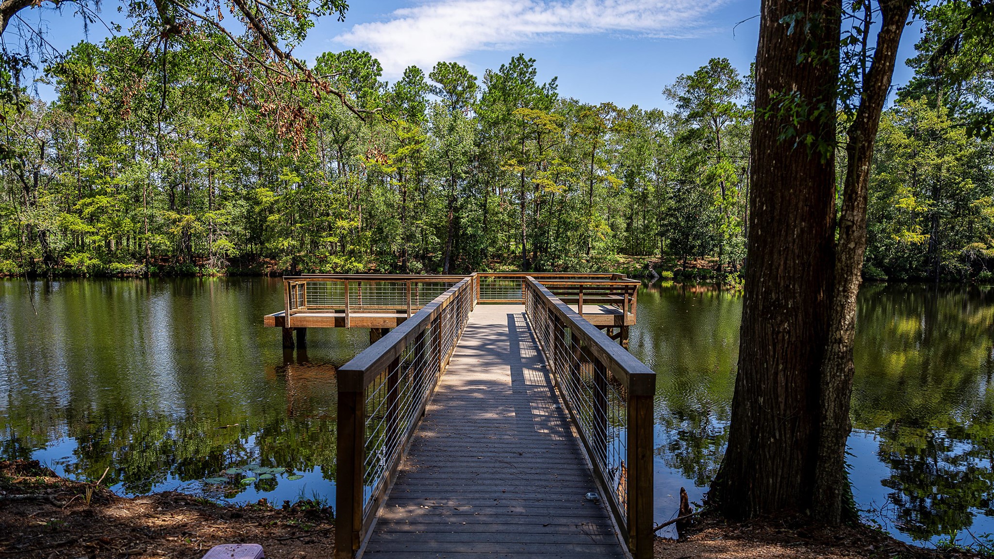 9507 Sierra Crest Lane Property Photo 13