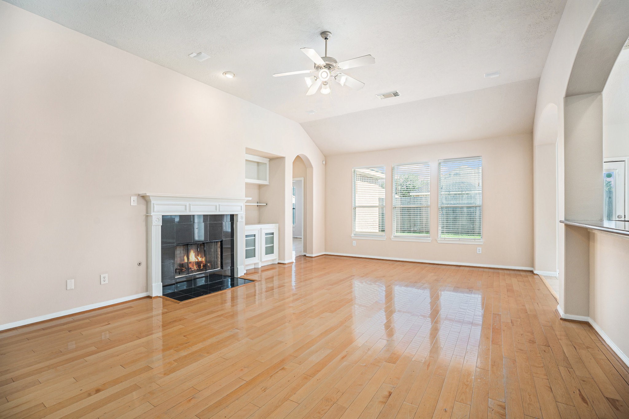 2517 Flycatcher Cove Drive Property Photo 3