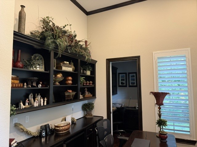 28443 Village Oaks Court Property Photo 3