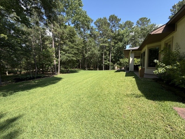 28443 Village Oaks Court Property Photo 23