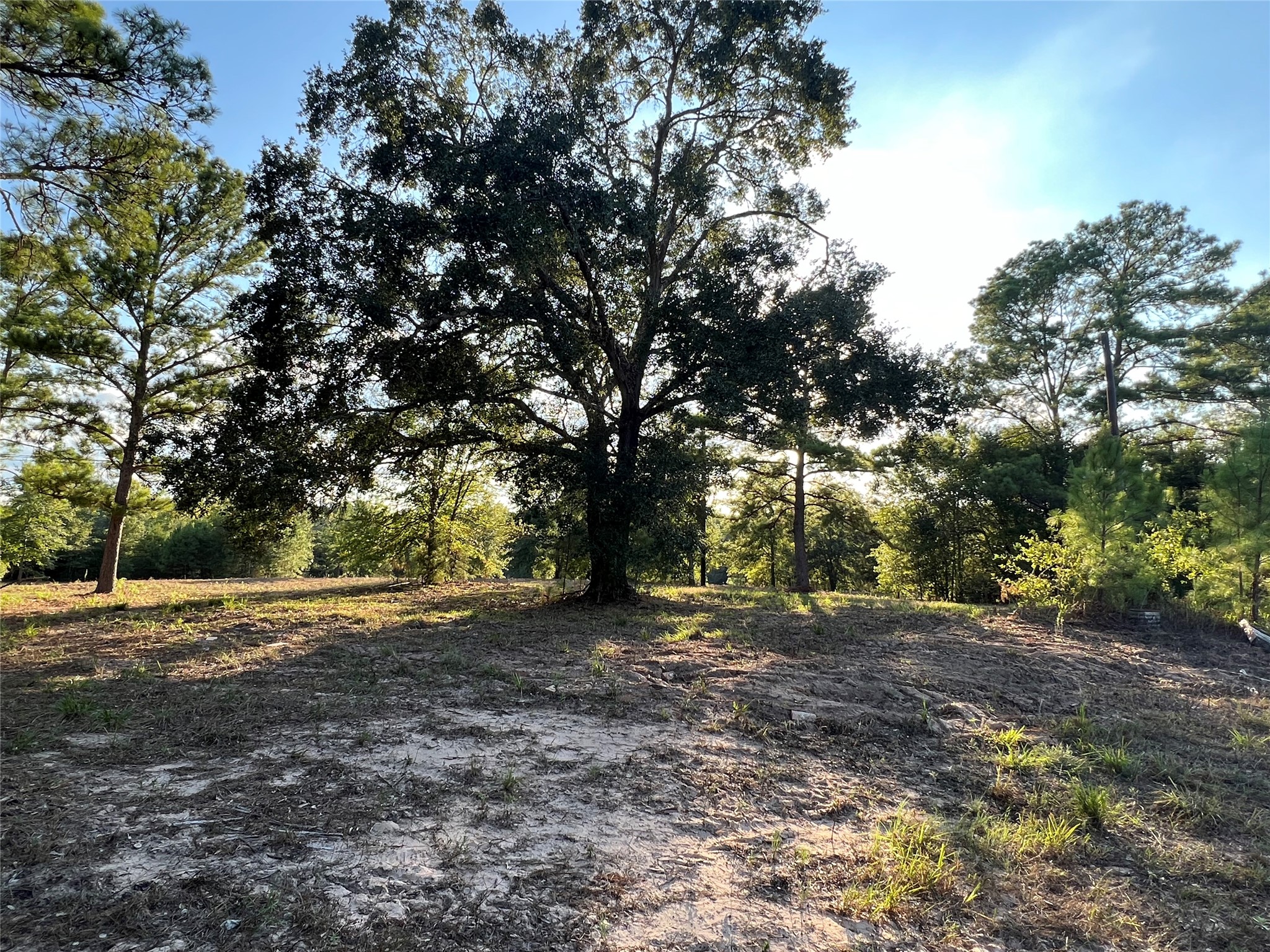 4604 Highway 105 E Property Photo 1