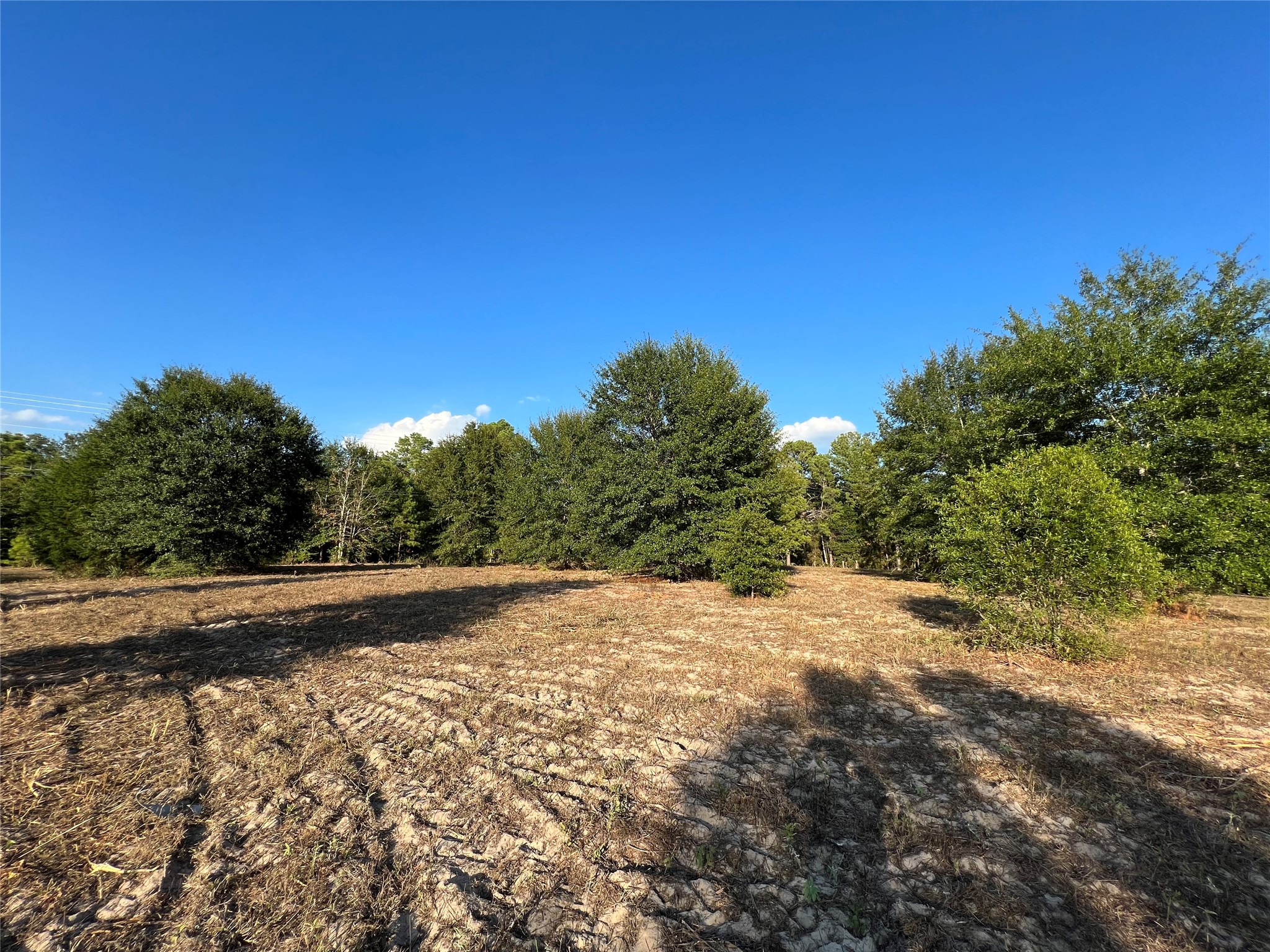4604 Highway 105 E Property Photo 2