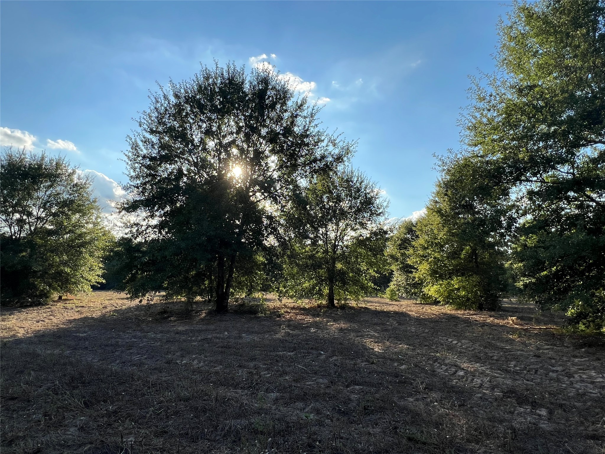 4604 Highway 105 E Property Photo 5