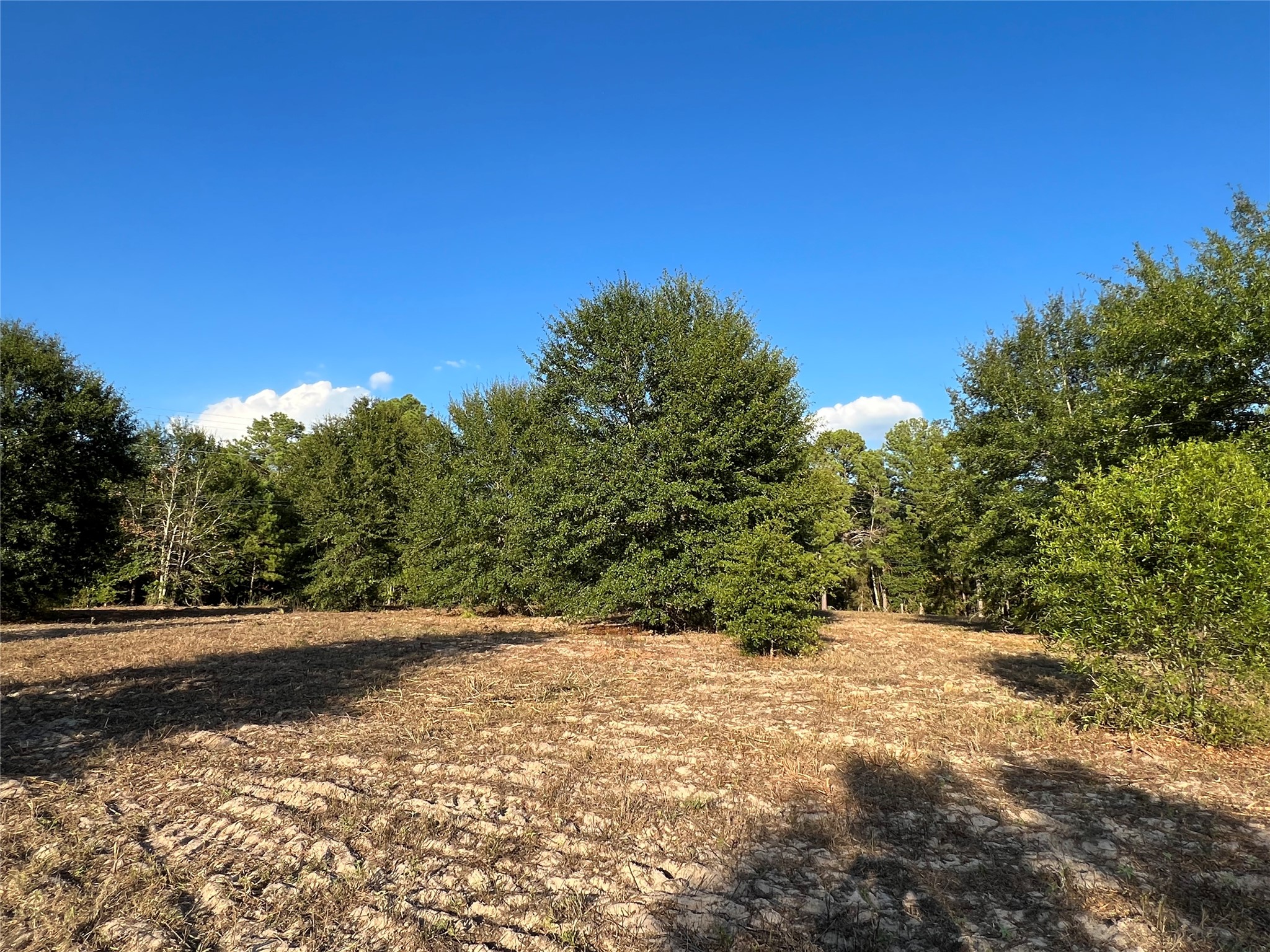 4604 Highway 105 E Property Photo 8